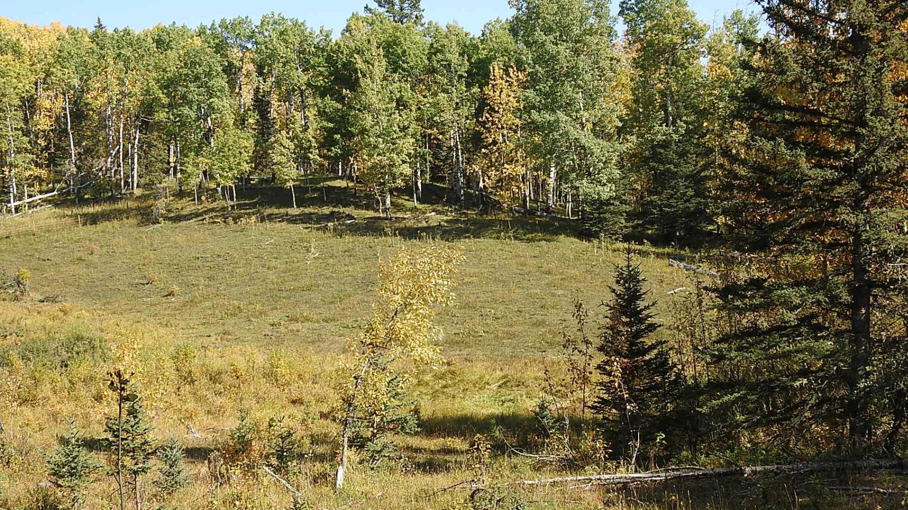 RURAL FOOTHILLS COUNTY, Alberta, T0L 1K0, CA, ,Residential,For Sale,1836944