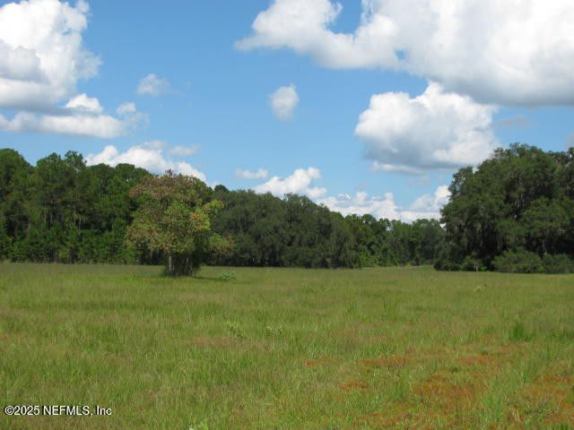 Crescent City, Florida, 32112, United States, ,Land,For Sale,1974247