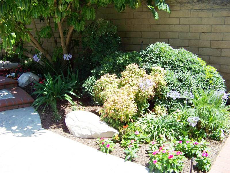 19452 Amhurst Ct., Cerritos, California, 90703, United States, 4 Bedrooms Bedrooms, ,3 BathroomsBathrooms,Residential,For Sale,19452 Amhurst Ct.,1010041