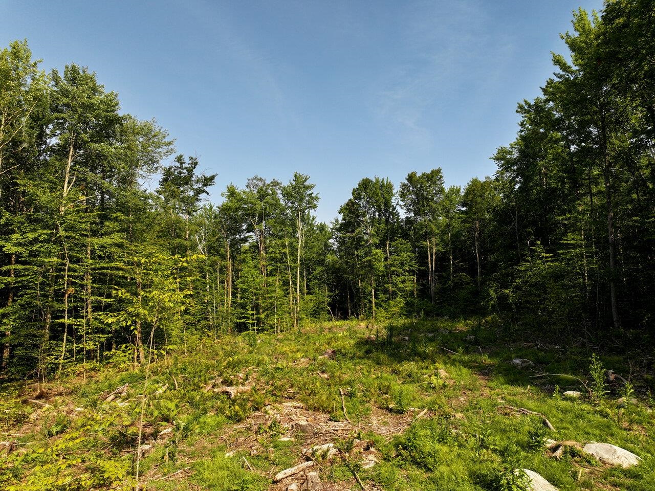 Leicester, Vermont, 05733, United States, ,Land,For Sale,1916983