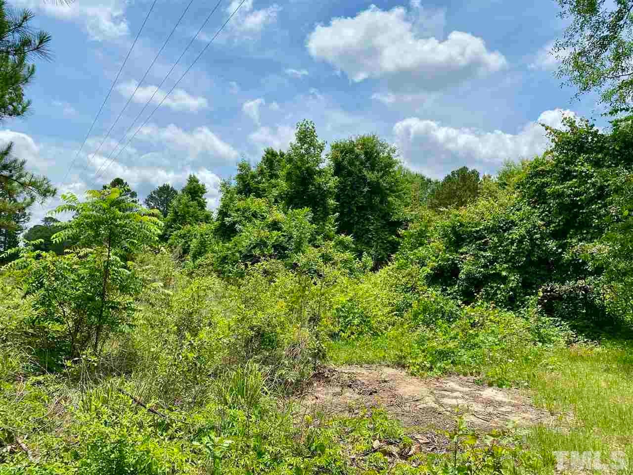 0 devils racetrack RD, Four Oaks, North Carolina, 27524, United States, ,Land,For Sale,0 devils racetrack RD,1432229