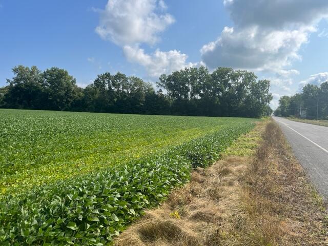 New Buffalo, Michigan, 49117, United States, ,Land,For Sale,1999087