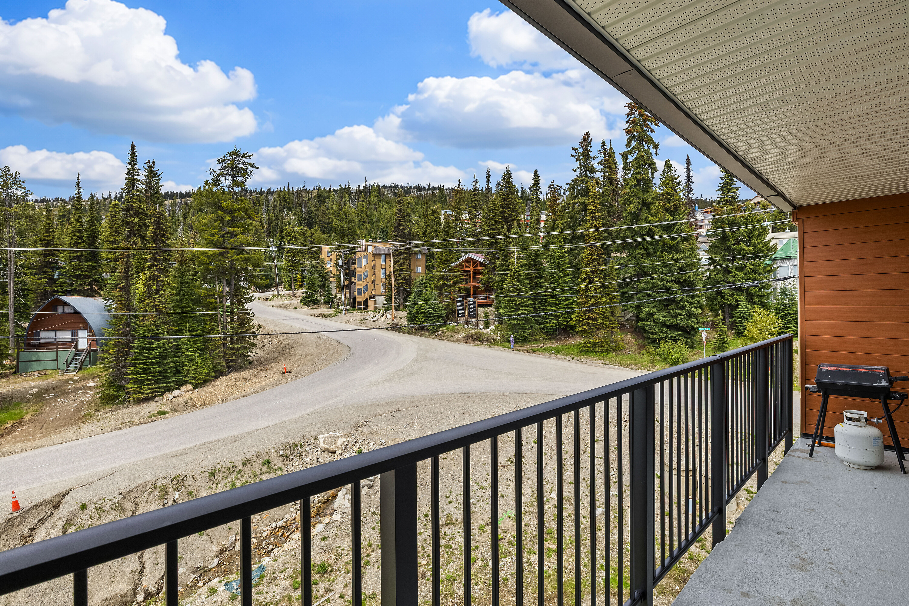  Turn Key Ski Condo - 物件實景