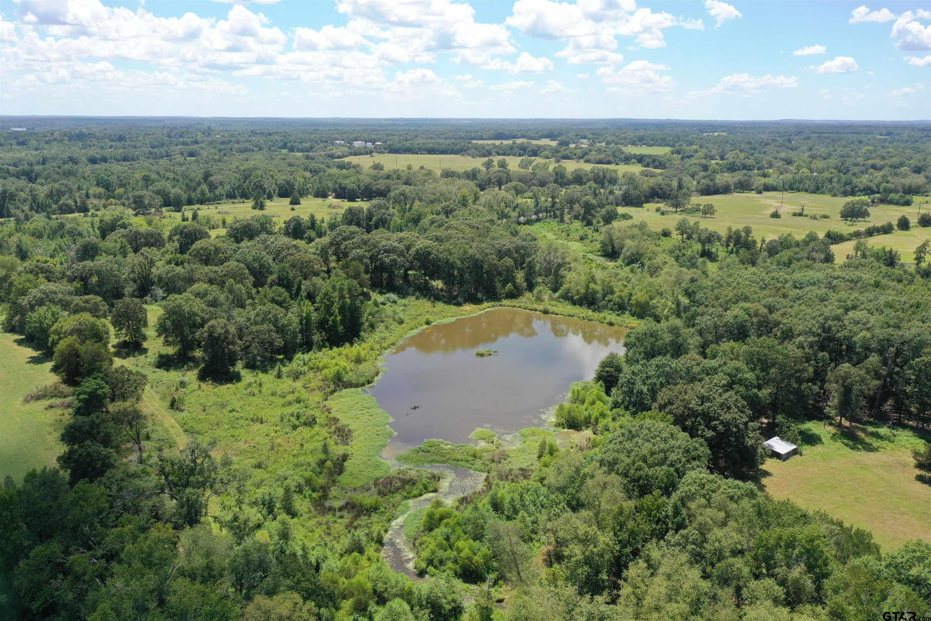 Pittsburg, Texas, 75686, United States, ,Land,For Sale,1978777