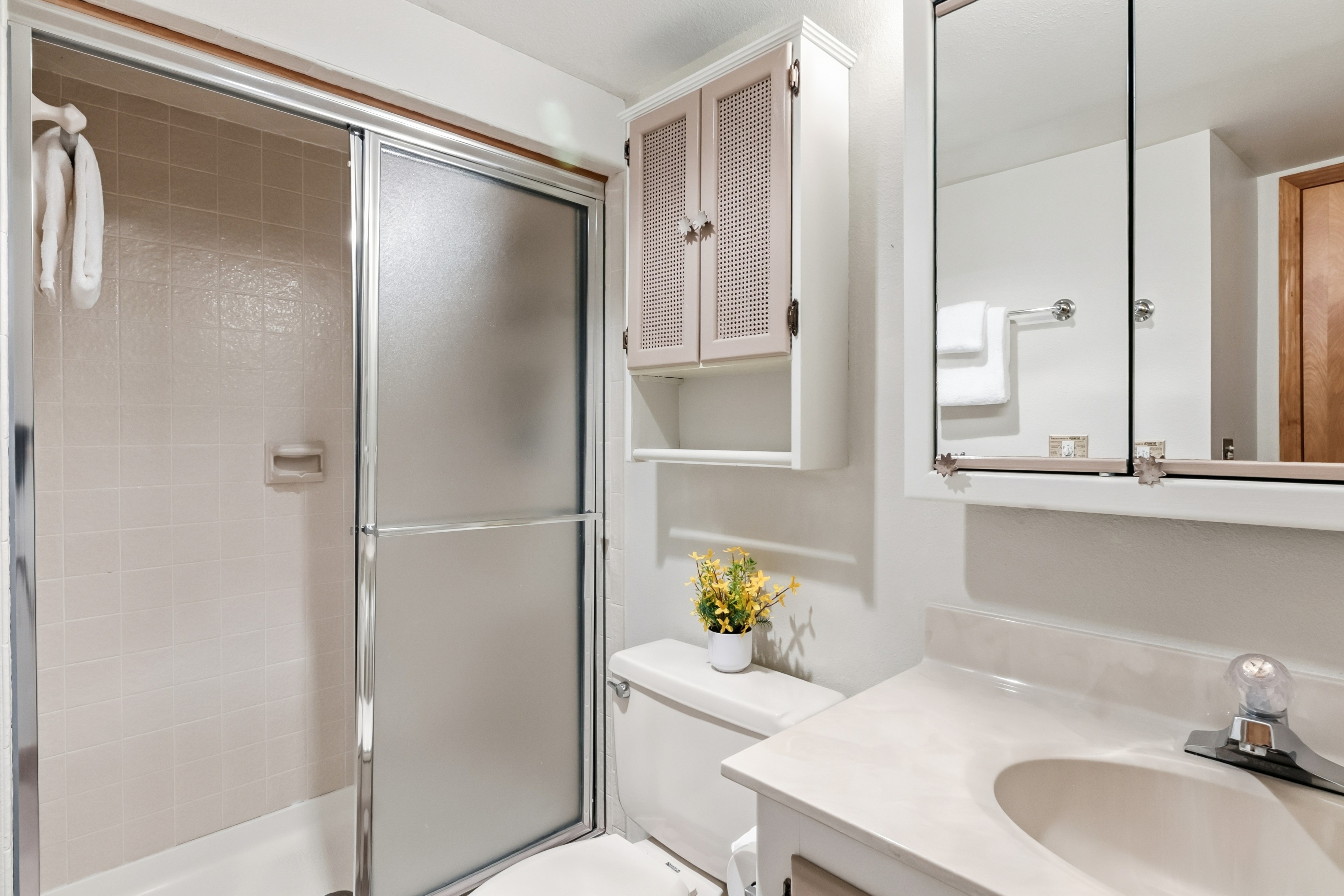  72 Corinthian Circle, Dillon, CO, 80435 - 物件實景