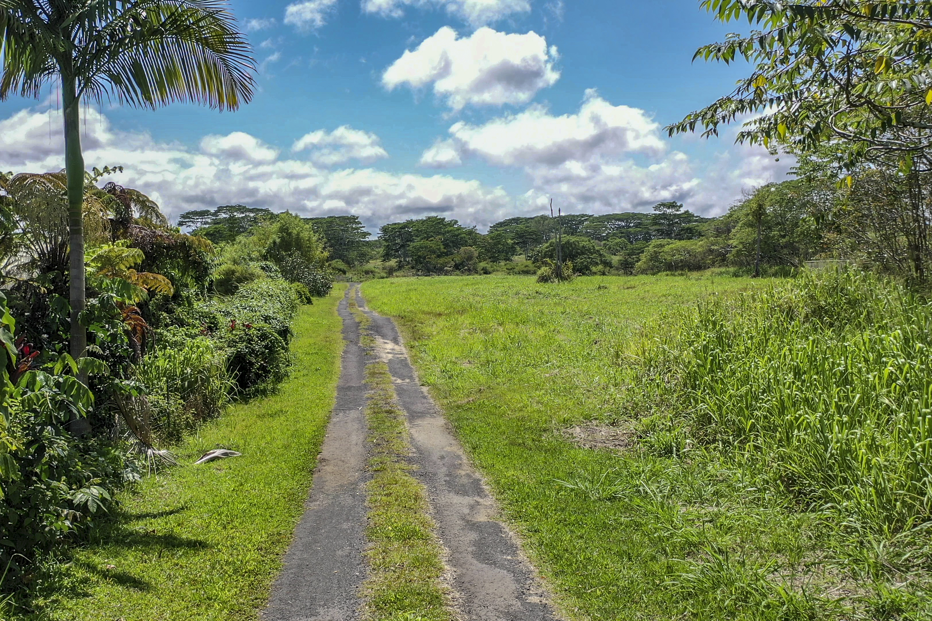 17-820 Manaolana Road, Kurtistown, HI, 96760 - 物件實景