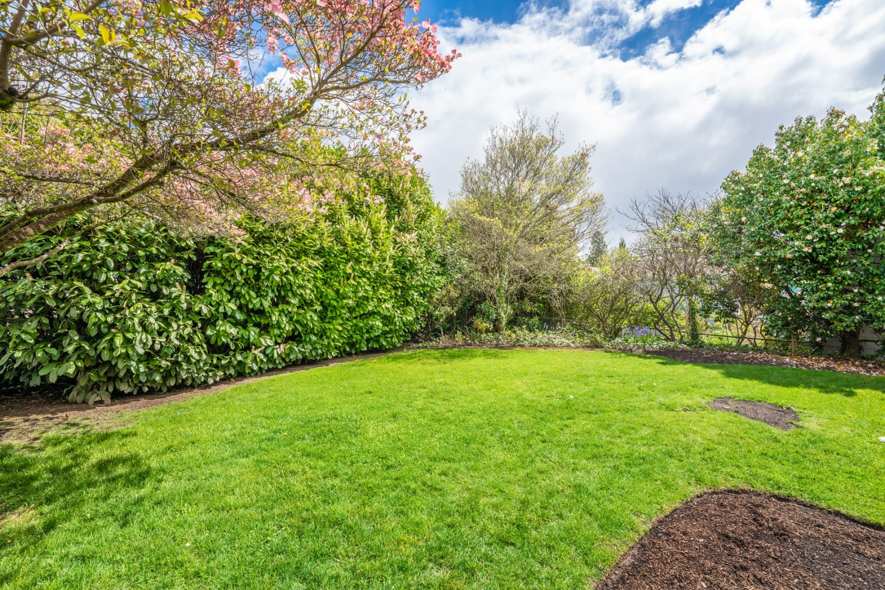  1934 SE 58TH AVE Portland, OR 97215 - 物件實景