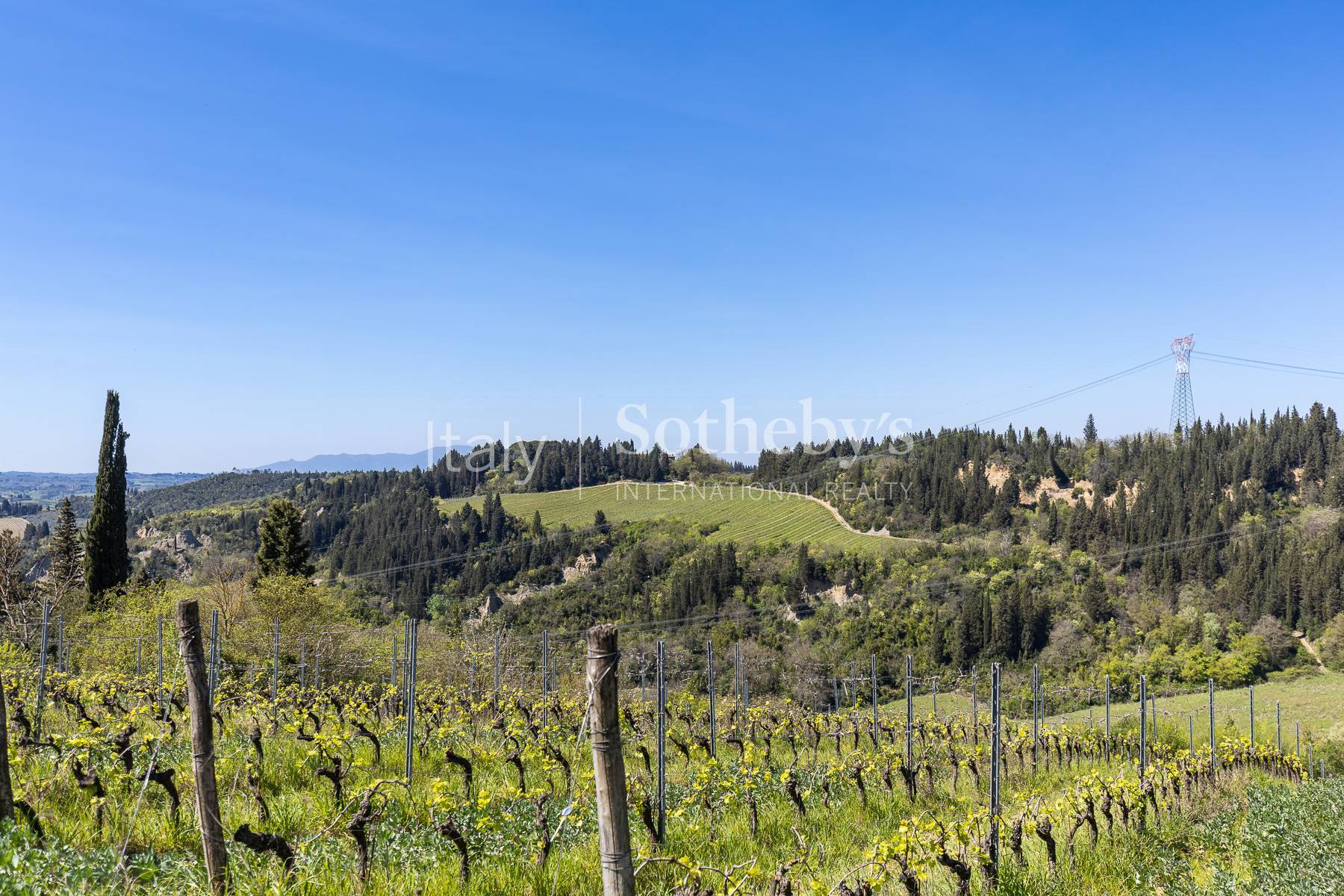  Charming estate among vineyards and history - 物件實景