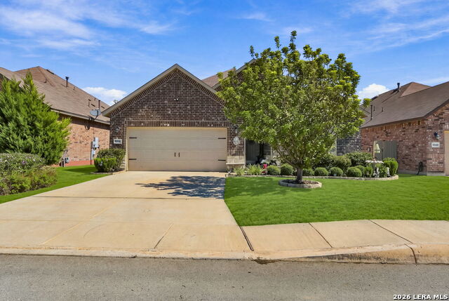 King Vly, San Antonio, TX 78254