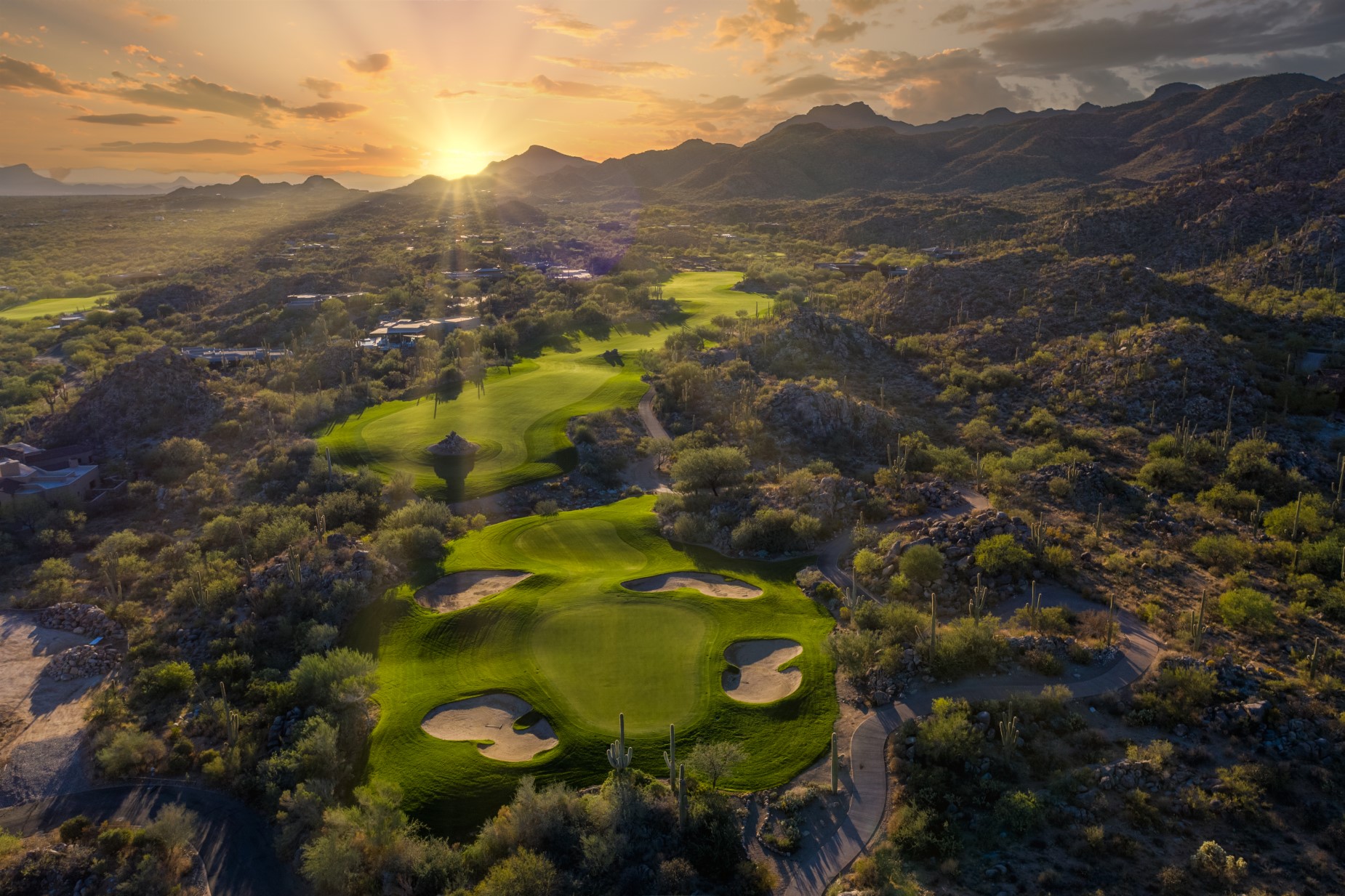 14191 N Giant Saguaro Place¦Oro Valley, AZ - 物件實景