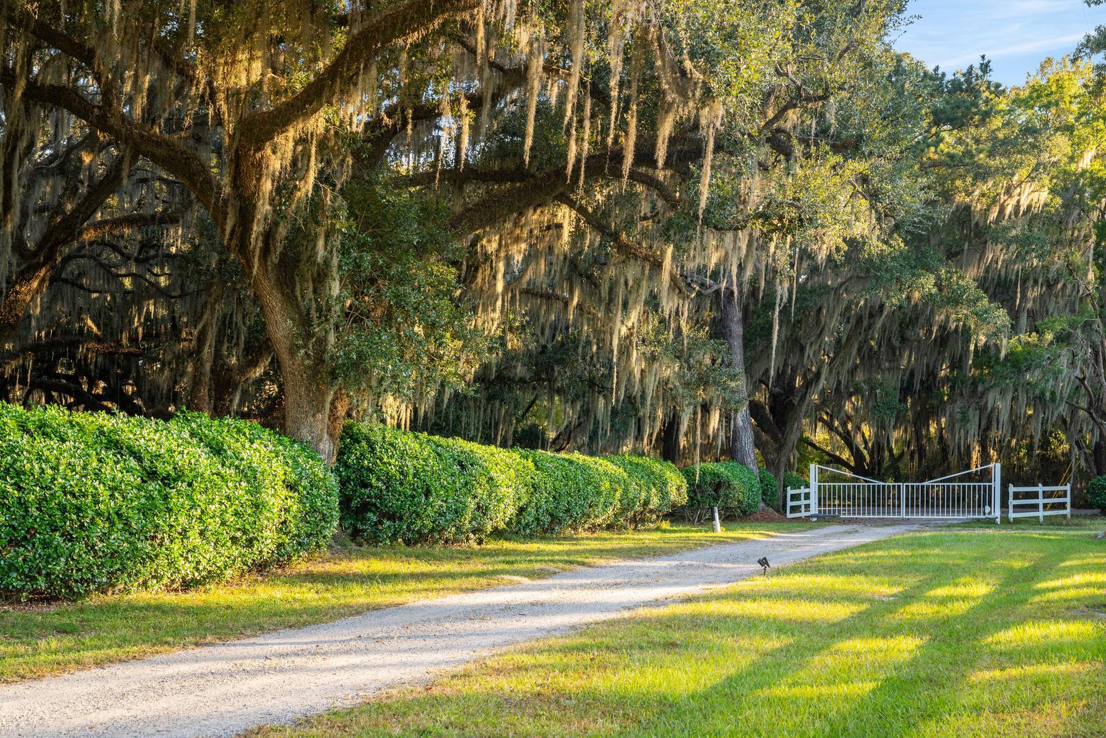 Yemassee, South Carolina, 29945, United States, 6 Bedrooms Bedrooms, ,7 BathroomsBathrooms,Residential,For Sale,1989284