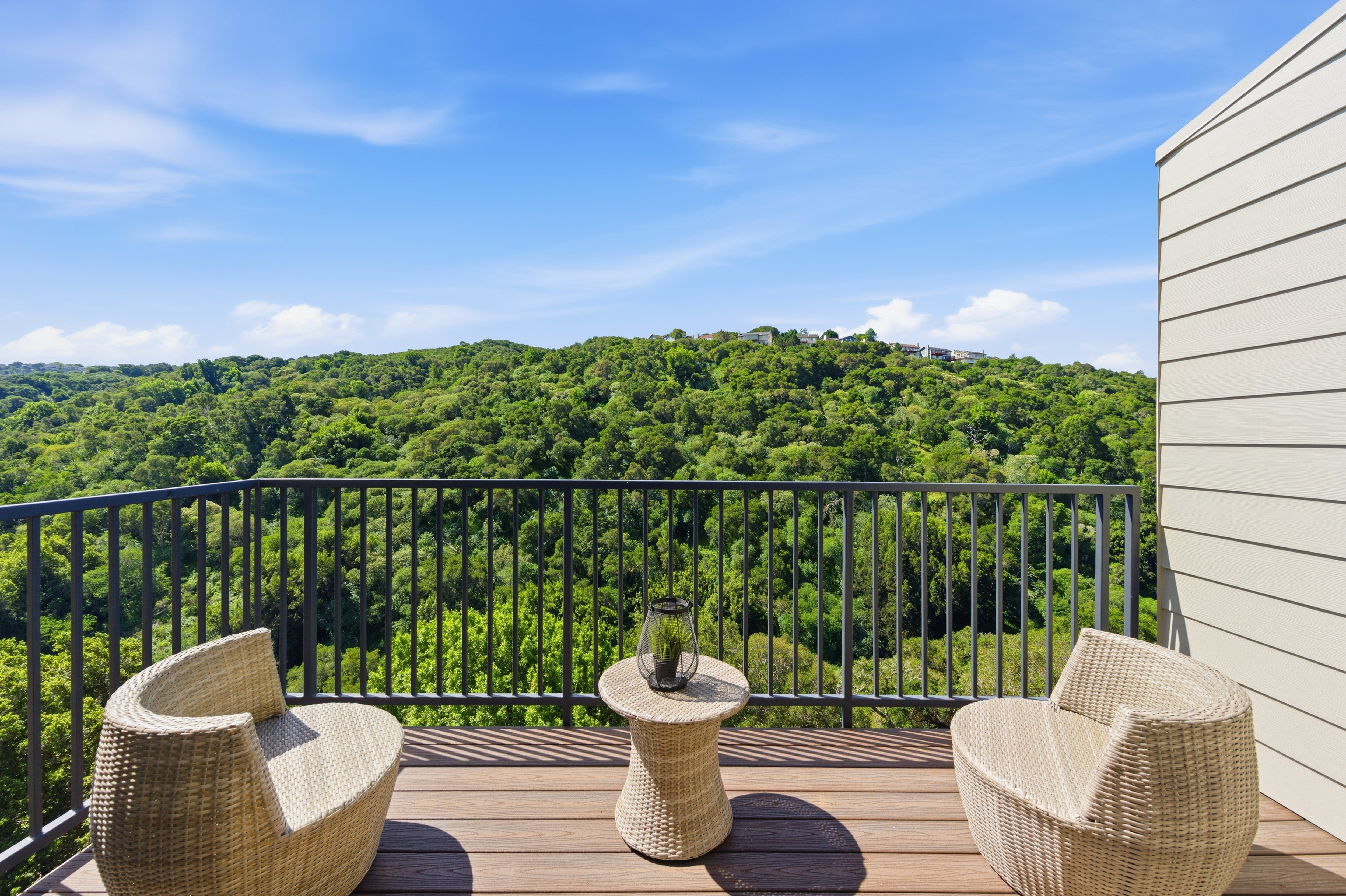  Incredible Canyon Views in Prime Belmont Location - 物件實景