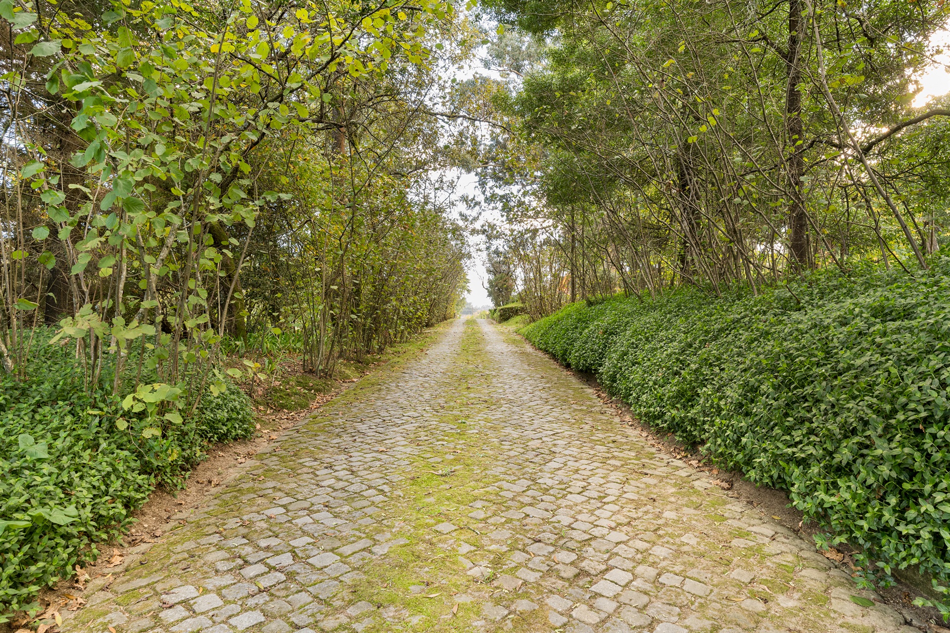  Farm, 6 bedrooms, for Sale - 物件實景