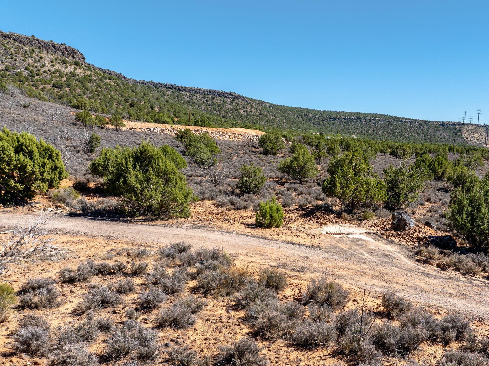 St George, Utah, 84770, United States, ,Residential,For Sale,1984319