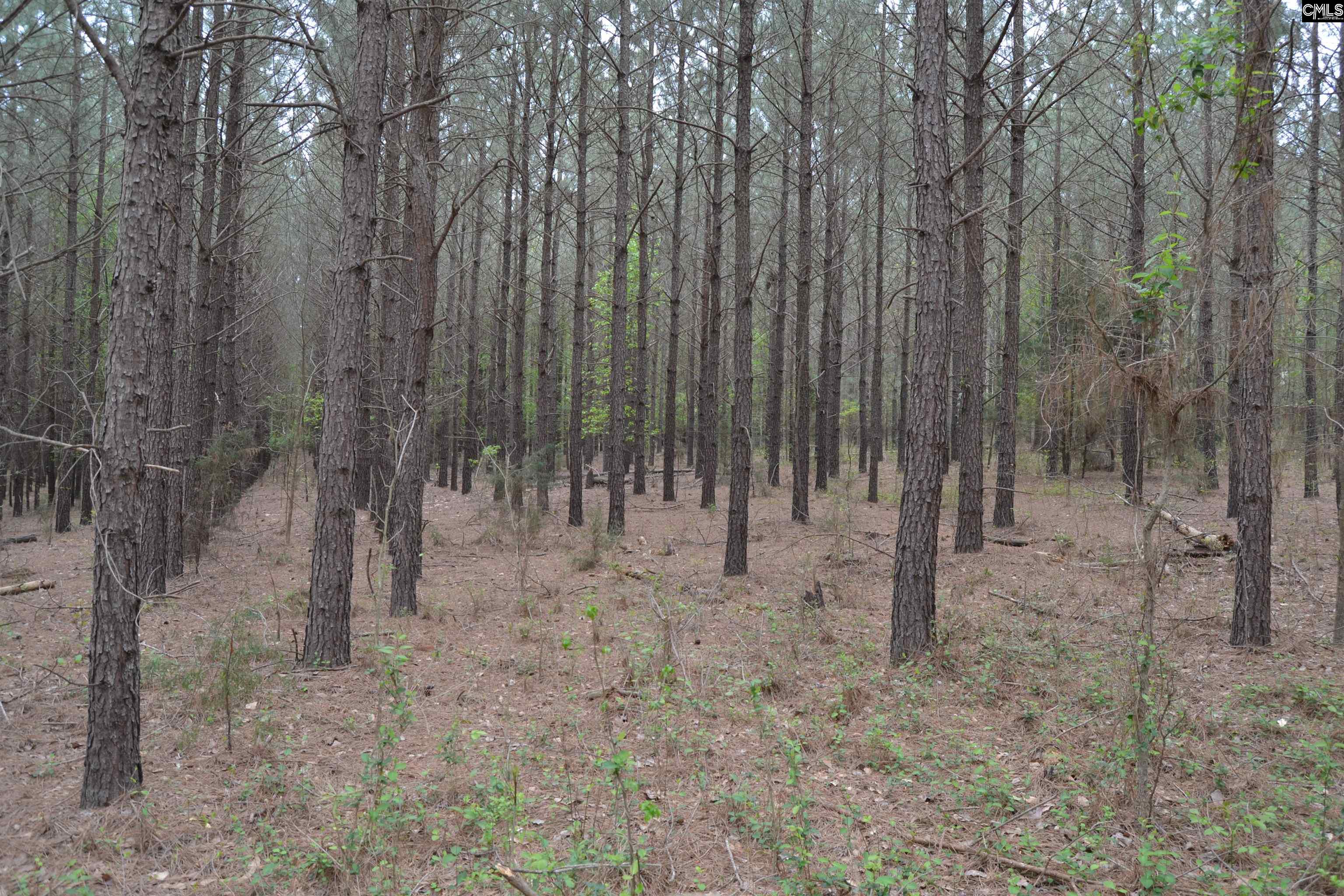  1309 Farming Creek Road  Irmo, South Carolina - 物件實景