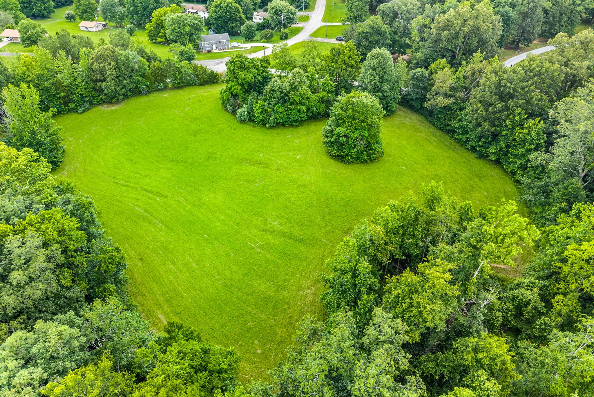  196 Wildlife Road, Dover, TN, 37058 - 物件實景