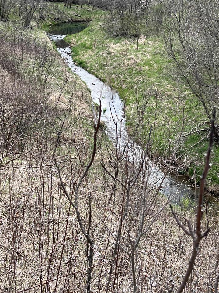 Ferryville, Wisconsin, 54628, United States, ,Land,For Sale,1987419