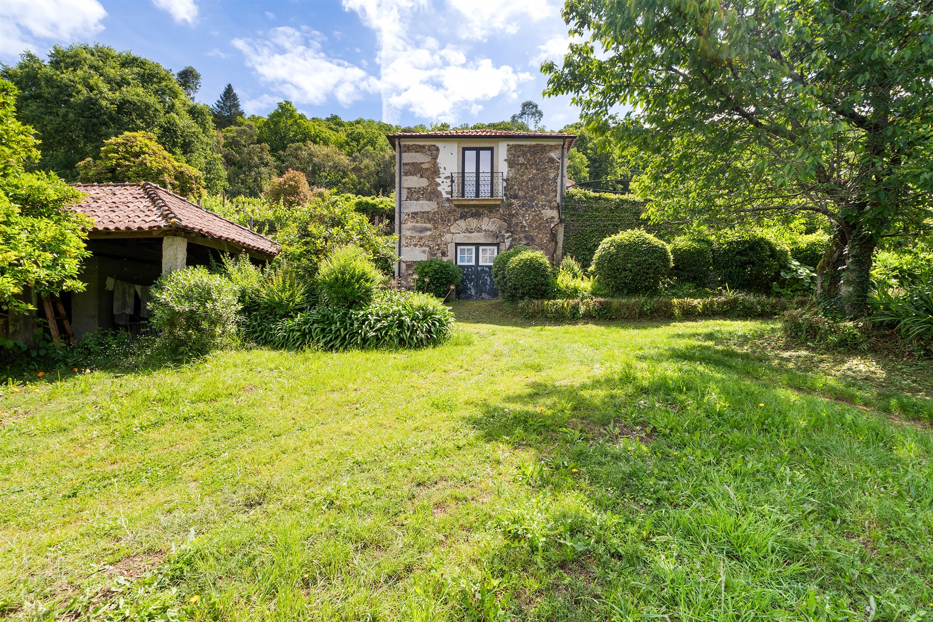  Farm, 10 bedrooms, for Sale - 物件實景