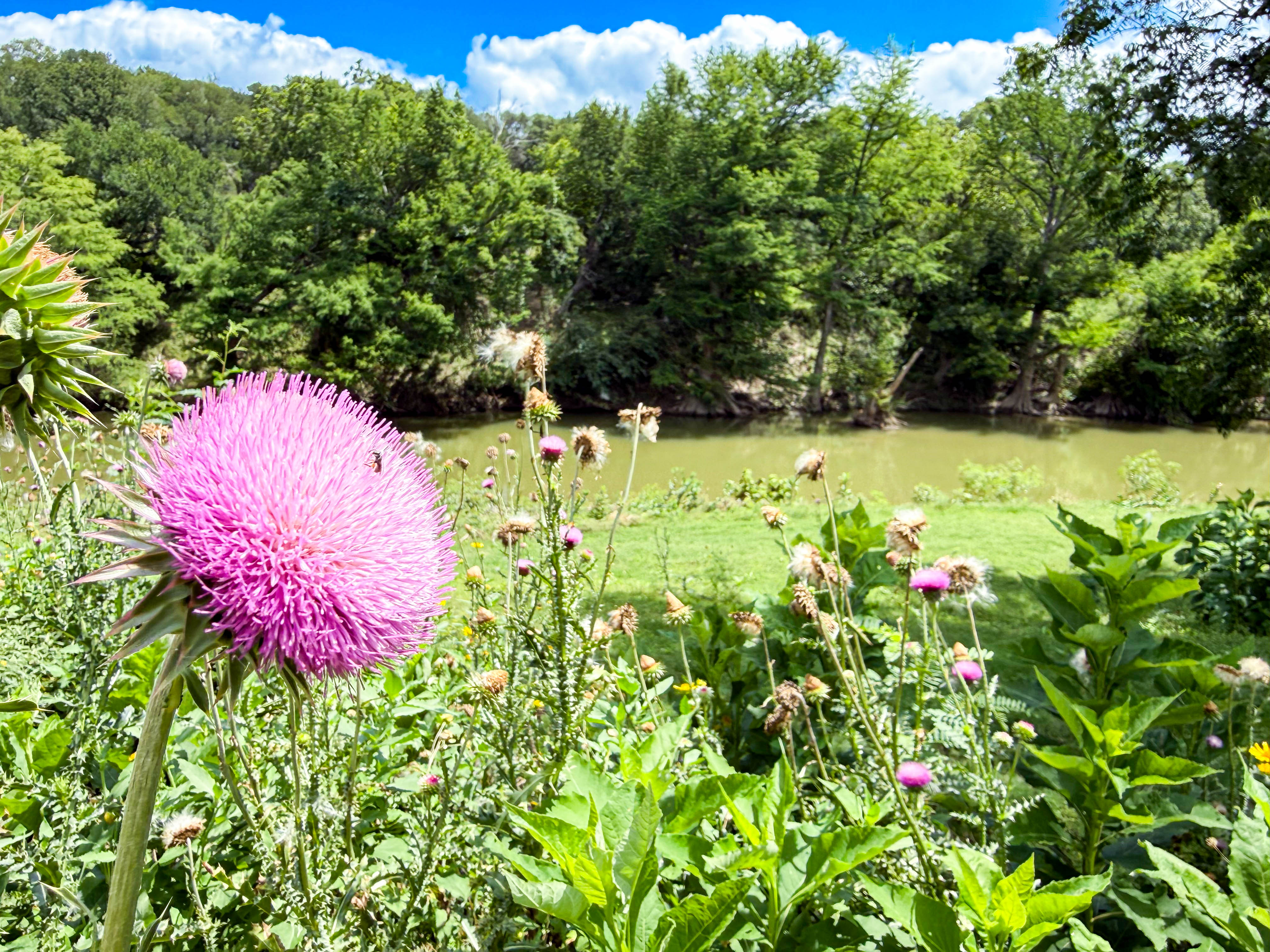  Refined Hill Country LIving - 物件實景