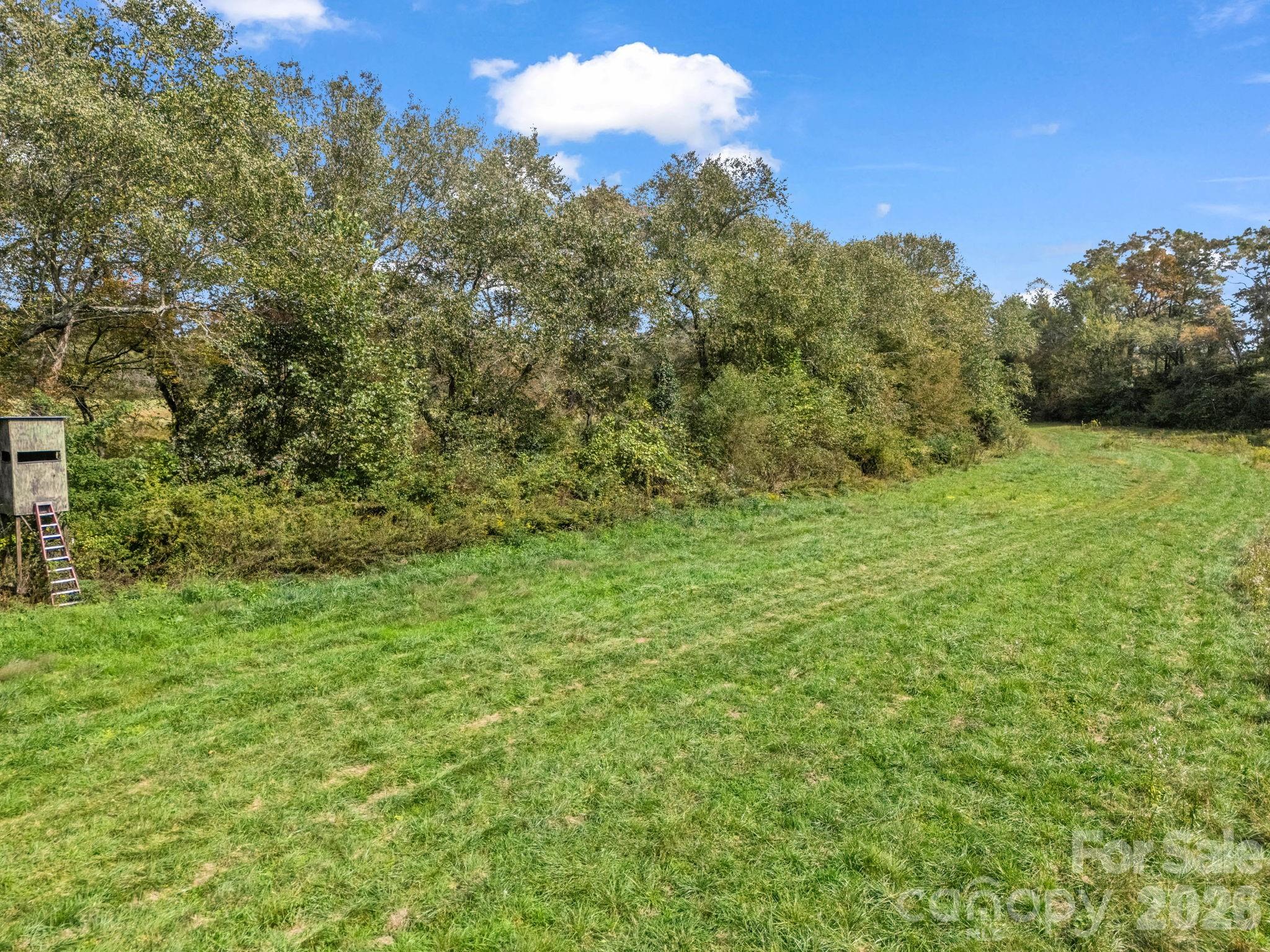 Mills River, North Carolina, 28759, United States, ,Land,For Sale,1975215