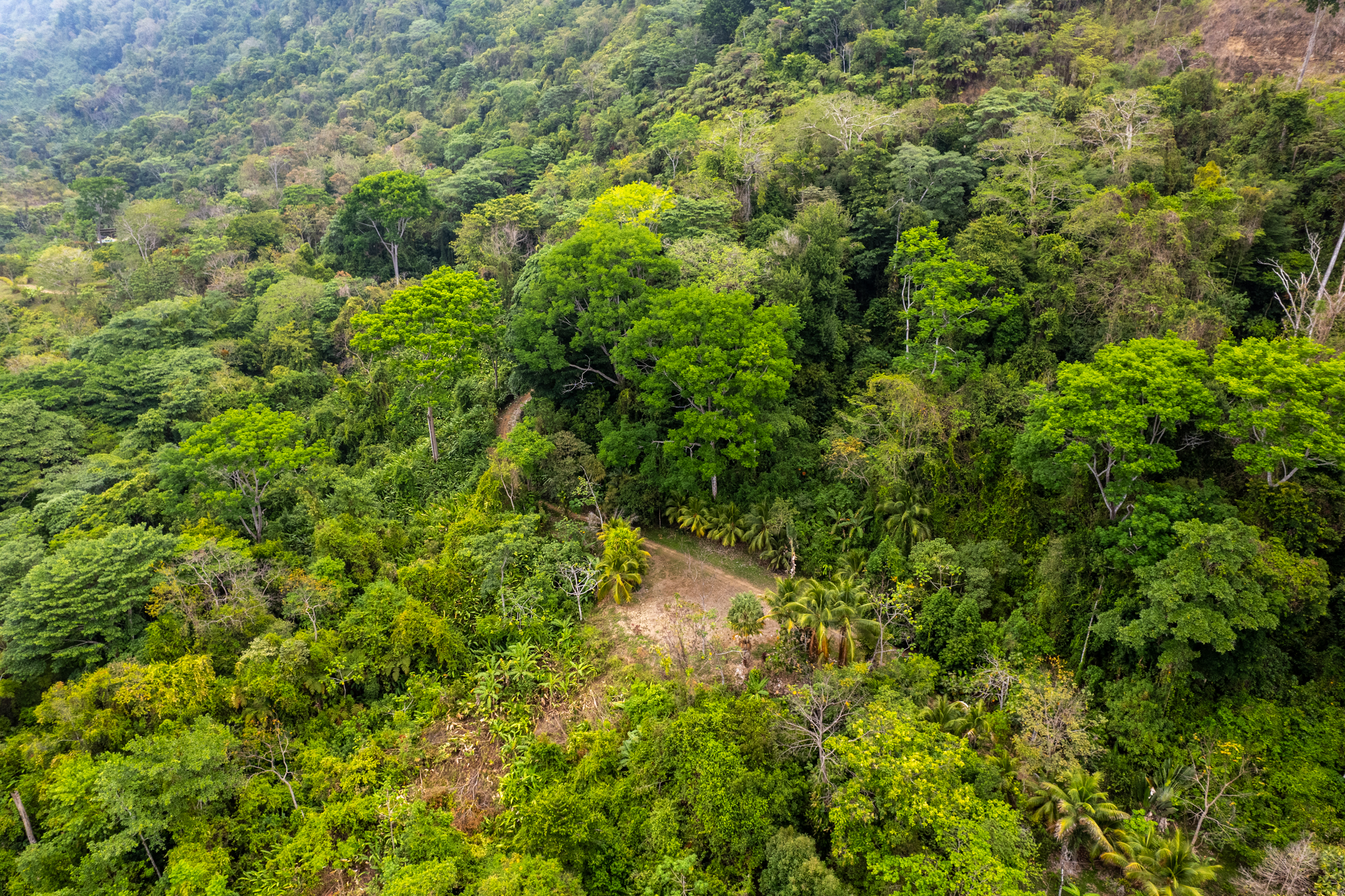 Lagunas, Dominical, Puntarenas, CR, 2 Bedrooms Bedrooms, ,1 BathroomBathrooms,Land,For Sale,Lagunas,1589118