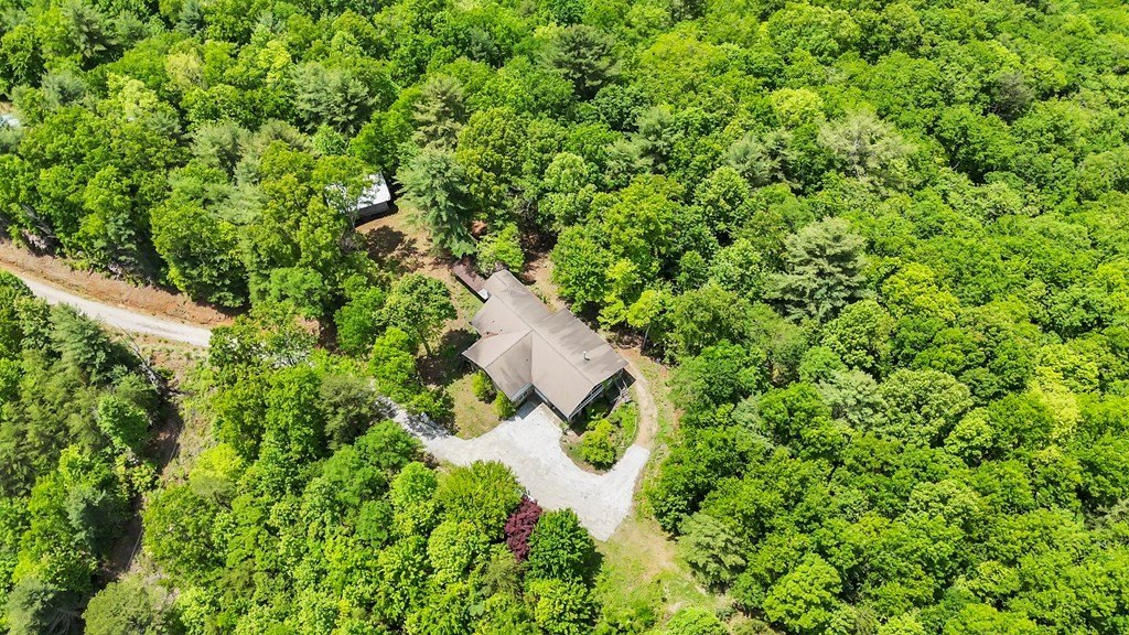 Blairsville, Georgia, 30512, United States, ,Residential,For Sale,1824066