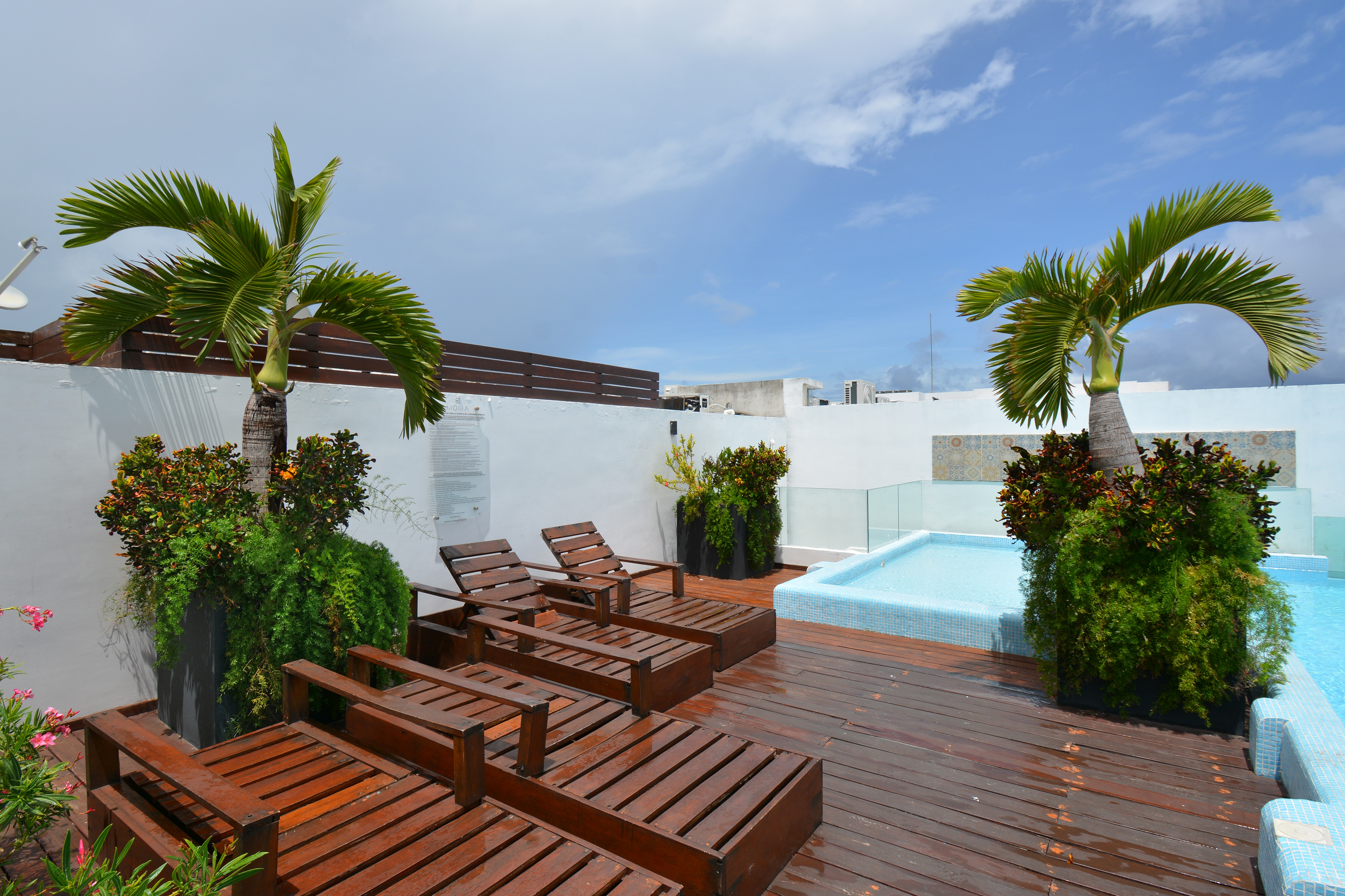  ONE BEDROOM IN THE CARIBBEAN A FEW STEPS FROM THE SEA - 物件實景