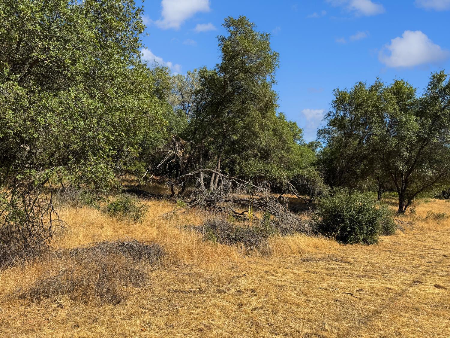 Auburn, California, 95603, United States, ,Residential,For Sale,1935188