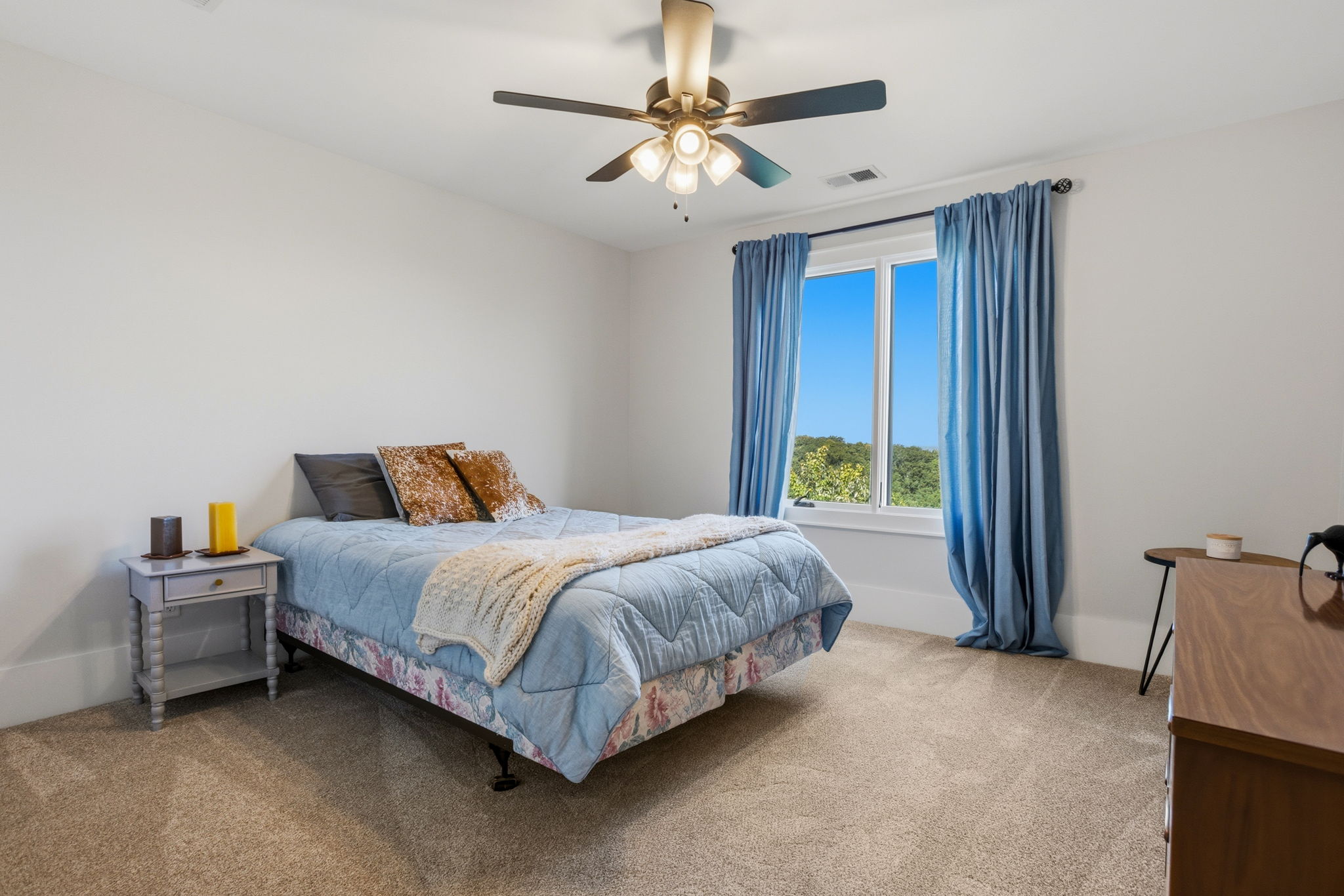  101 Frangipani Way, Greenville, SC 29609 - 物件實景