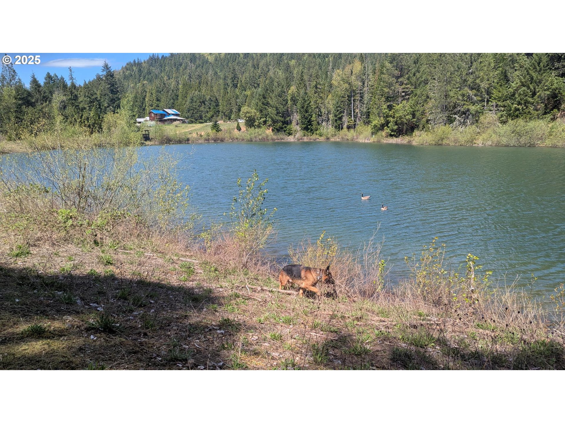 2999 Speaker Rd, Wolf Creek, Oregon, 97497, United States, 4 Bedrooms Bedrooms, ,4 BathroomsBathrooms,Residential,For Sale,2999 Speaker Rd,1659471