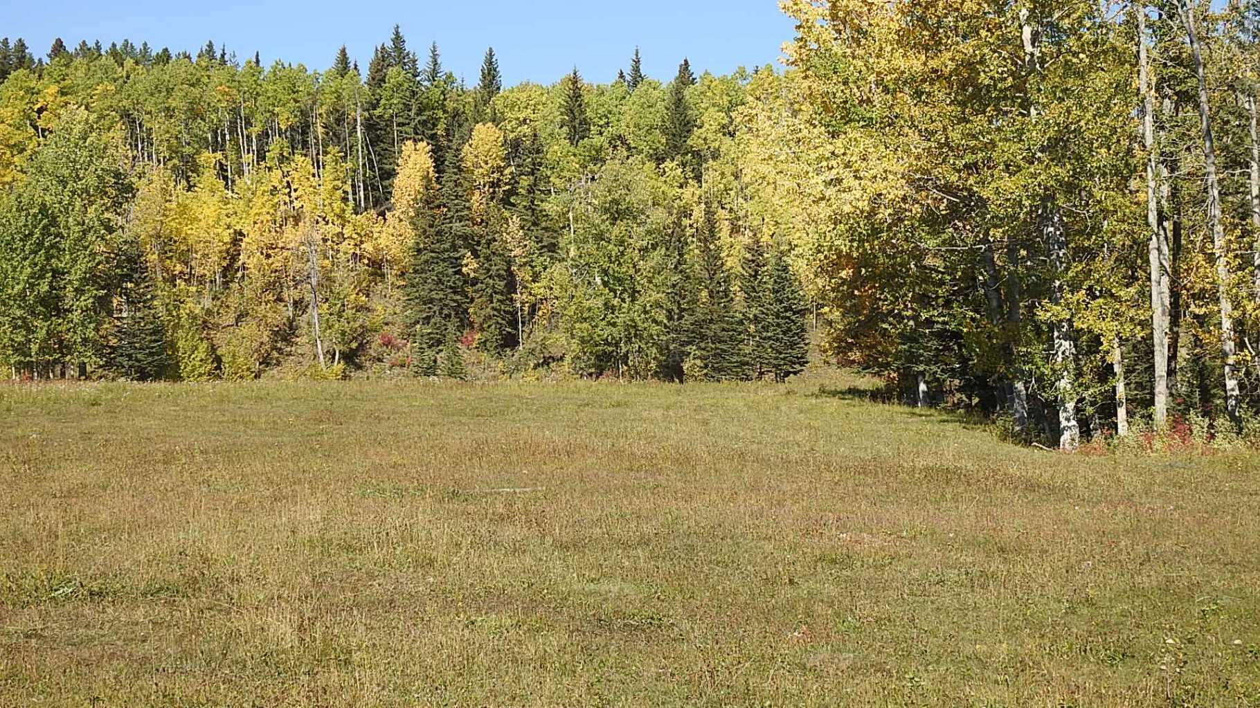 RURAL FOOTHILLS COUNTY, Alberta, T0L 1K0, CA, ,Residential,For Sale,1836944