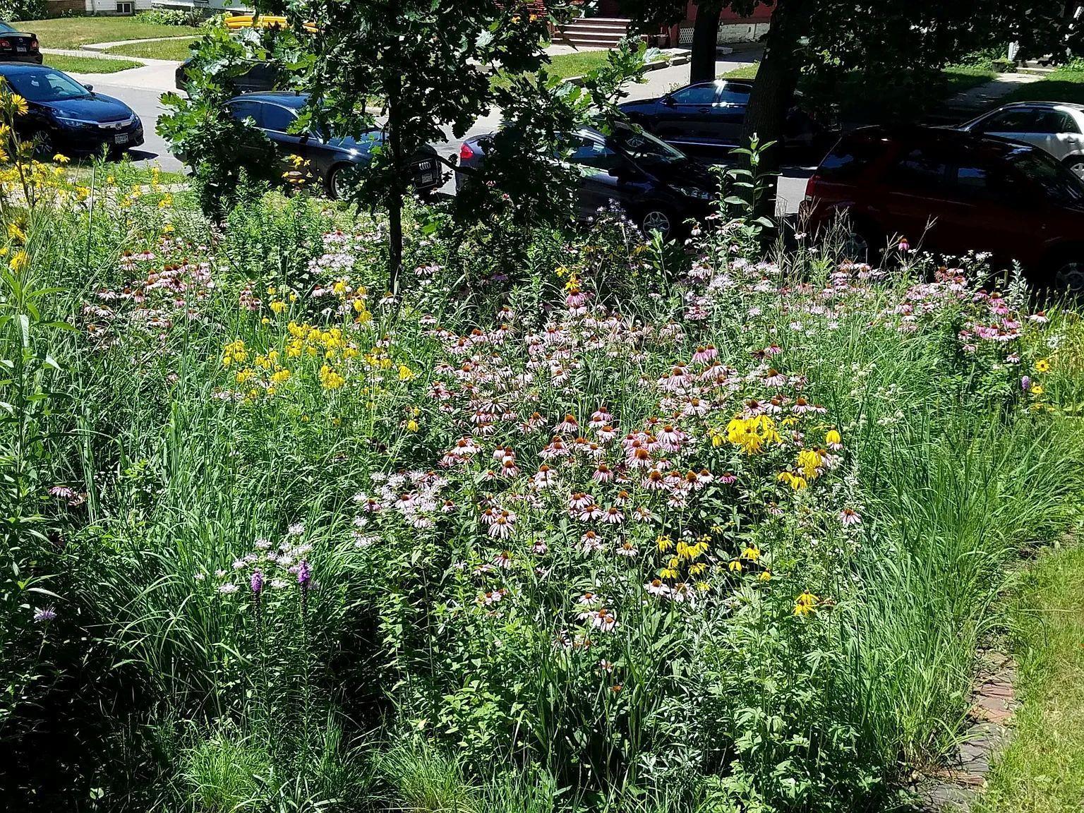 Minneapolis, Minnesota, 55404, United States, 6 Bedrooms Bedrooms, ,1 BathroomBathrooms,Residential,For Sale,1964958