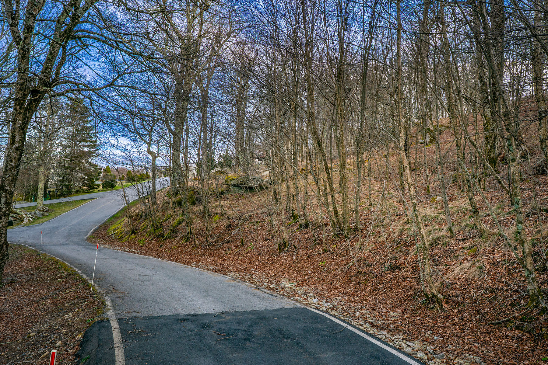  WOODLAND MEADOWS - BEECH MOUNTAIN - 物件實景