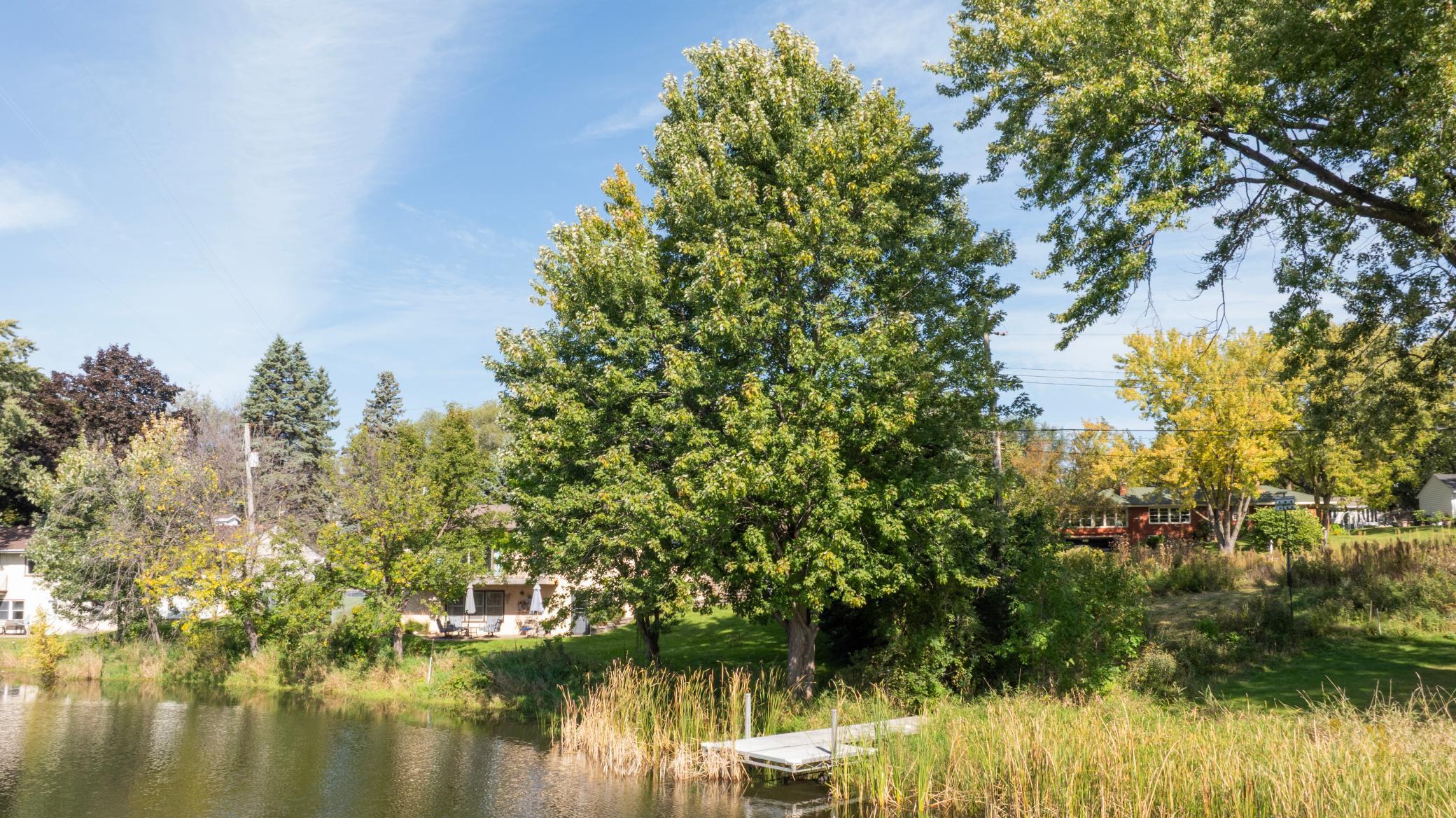 Shoreview, Minnesota, 55126, United States, ,Land,For Sale,1958859