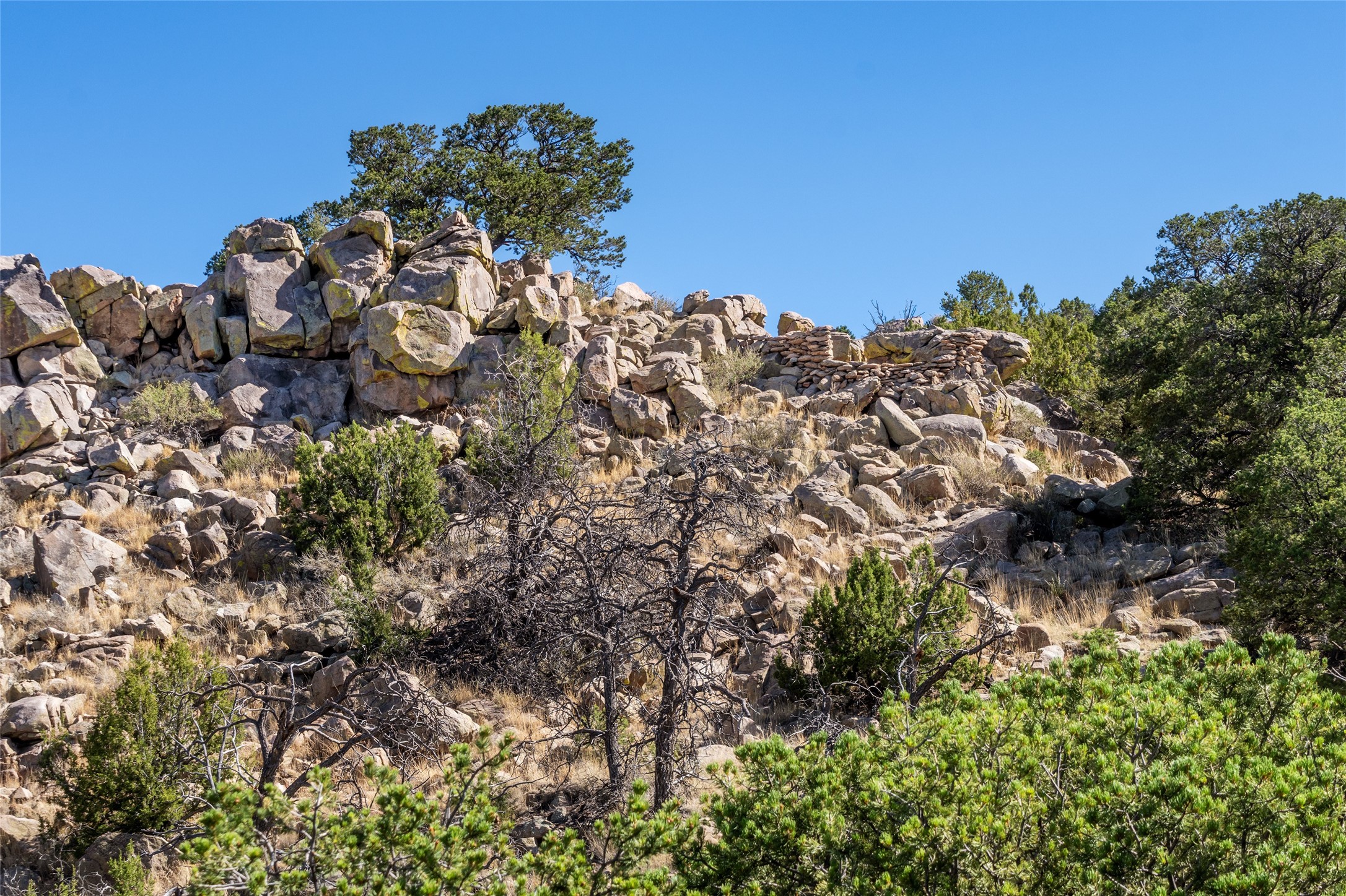  51 Coyote Mountain Road - 物件實景