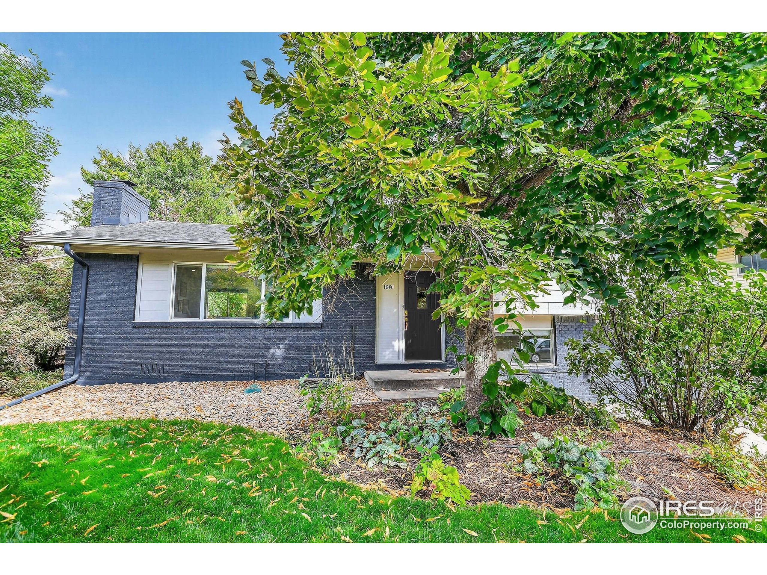 Longmont, Colorado, 80501, United States, 3 Bedrooms Bedrooms, ,2 BathroomsBathrooms,Residential,For Sale,1988284