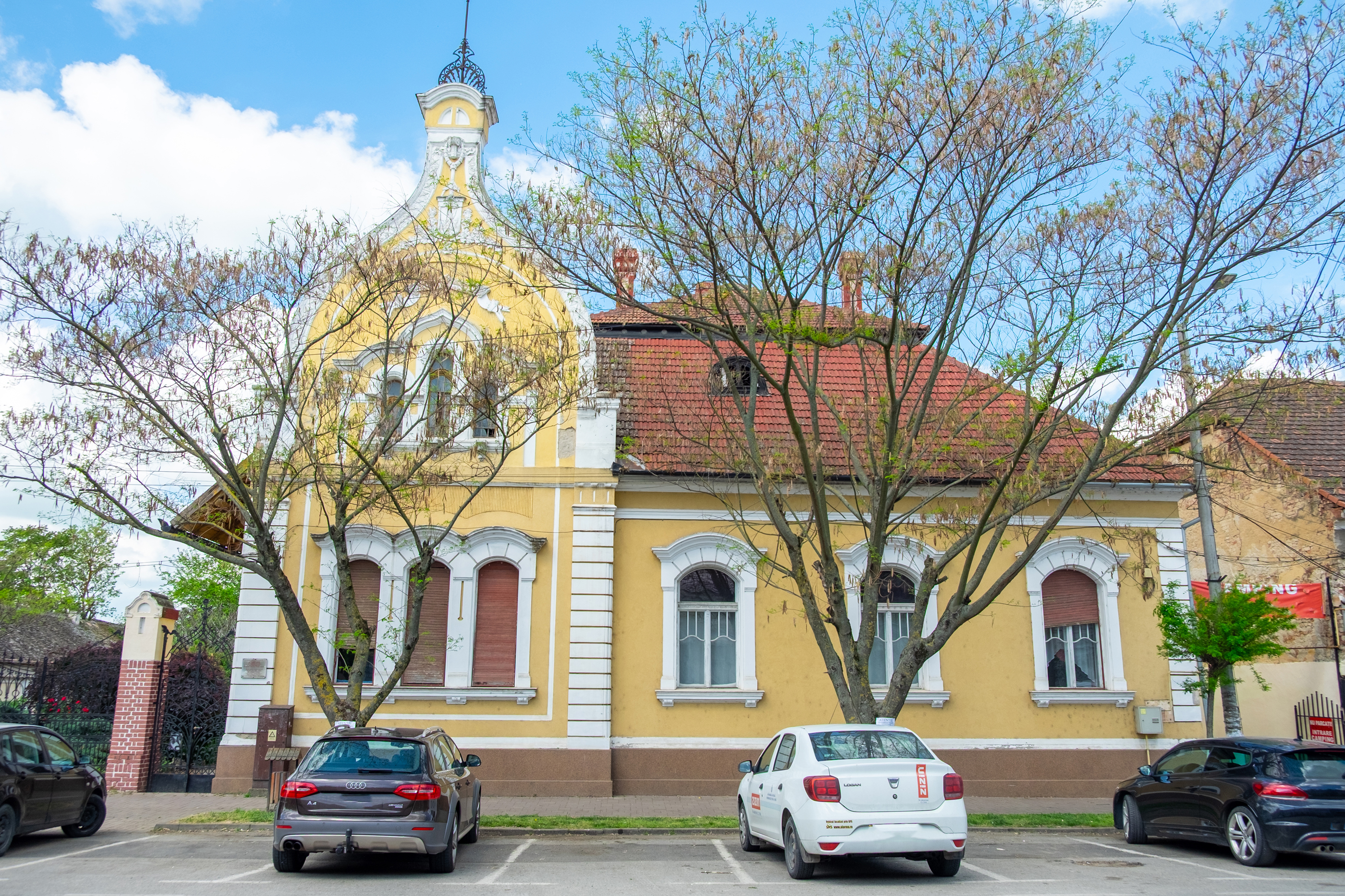  Ferch Manor - History and Tradition near Timioara - 物件實景