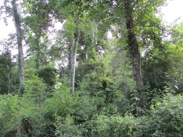 Madisonville, Louisiana, 70447, United States, ,Land,For Sale,1974802