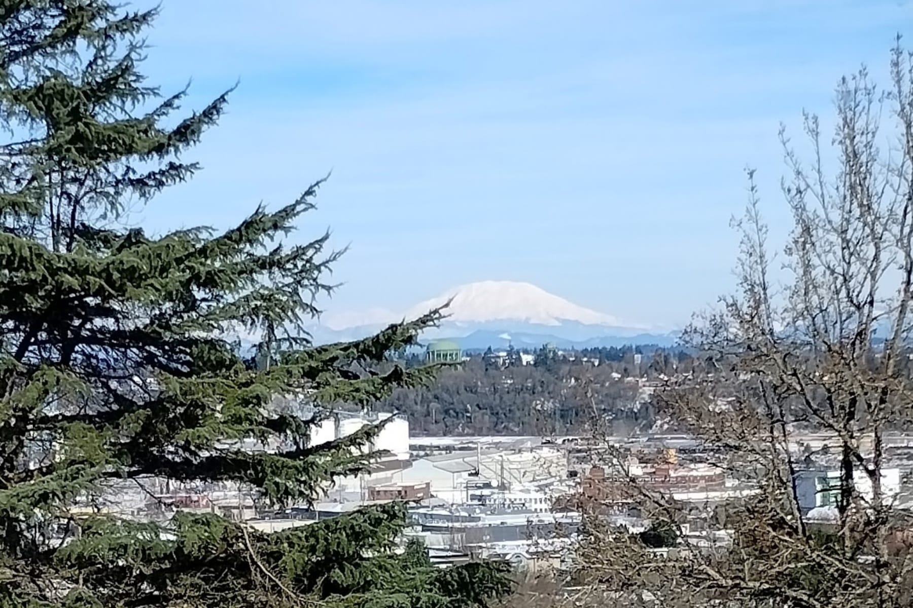  1122 NW SUMMIT AVE Portland, OR 97210 - 物件實景