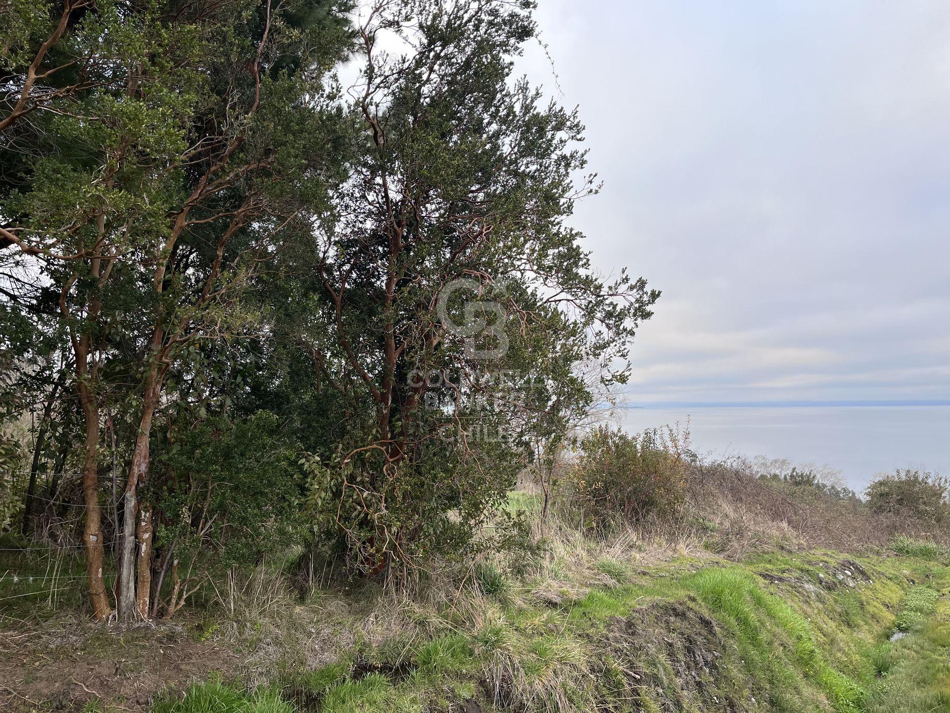 Futrono, Chile, ,Residential,For Sale,1919712