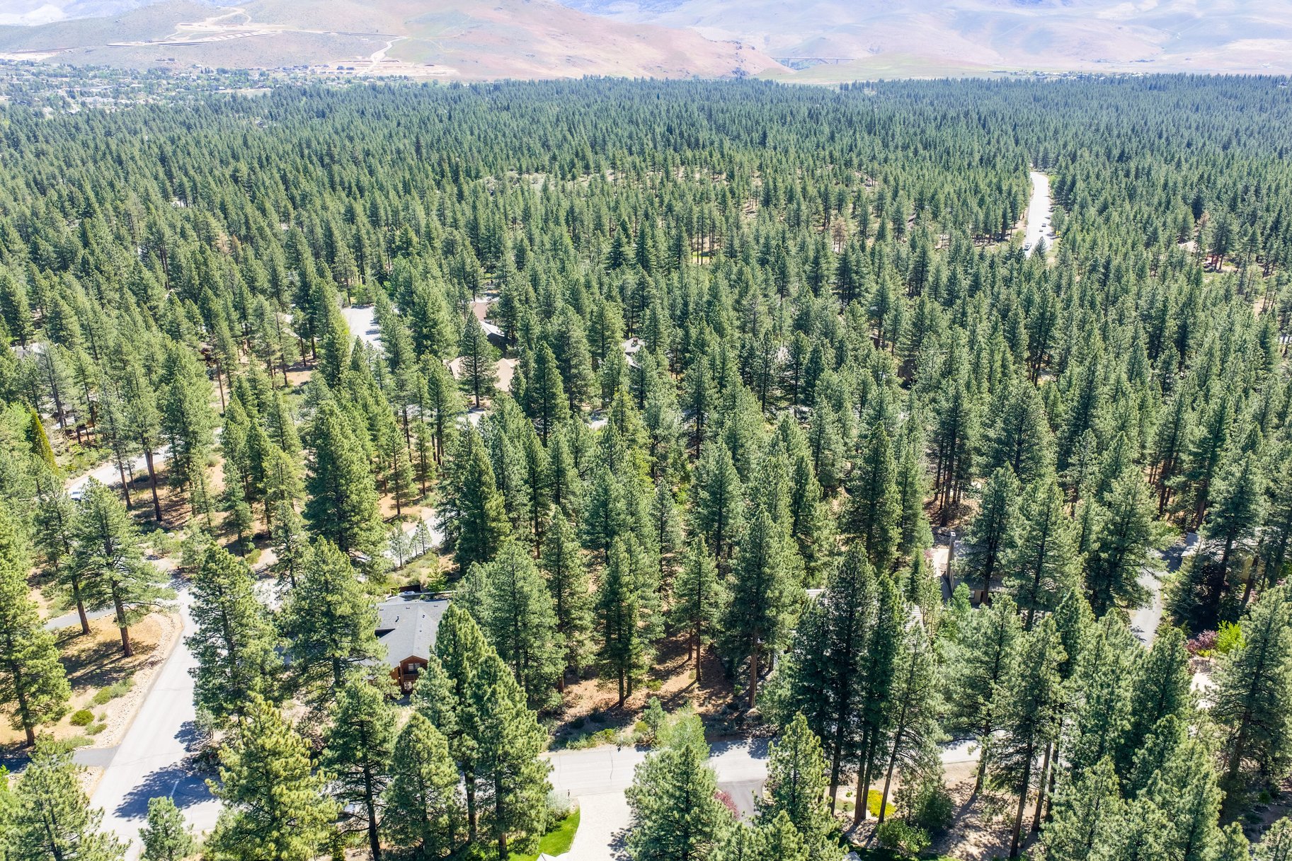  Private Galena Forest Parcel Near Mt. Rose with Pines & Tahoe Access - 物件實景