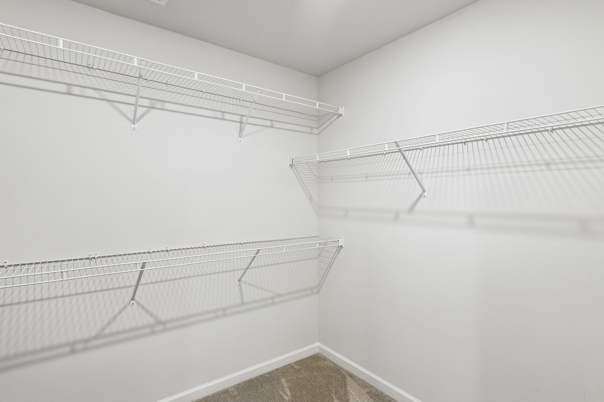  3341 Steadman St, Columbia, TN, 38401 - 物件實景