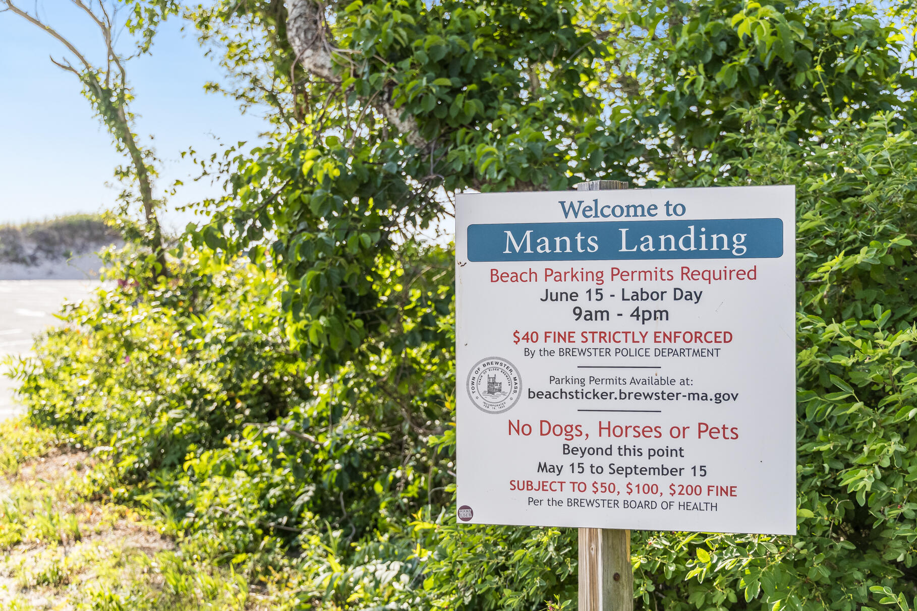  182 Ambergris Circle, Brewster, MA, 02631 - 物件實景