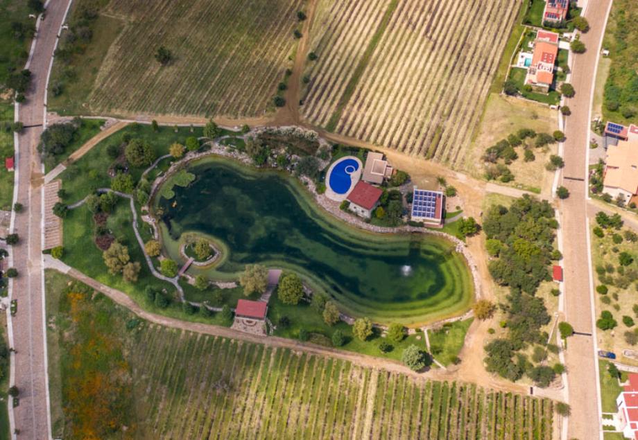 Malbec, San Miguel de Allende, Guanajuato, 37898, Mexico, 1 Bedroom Bedrooms, ,Residential,For Sale,Malbec,1443575