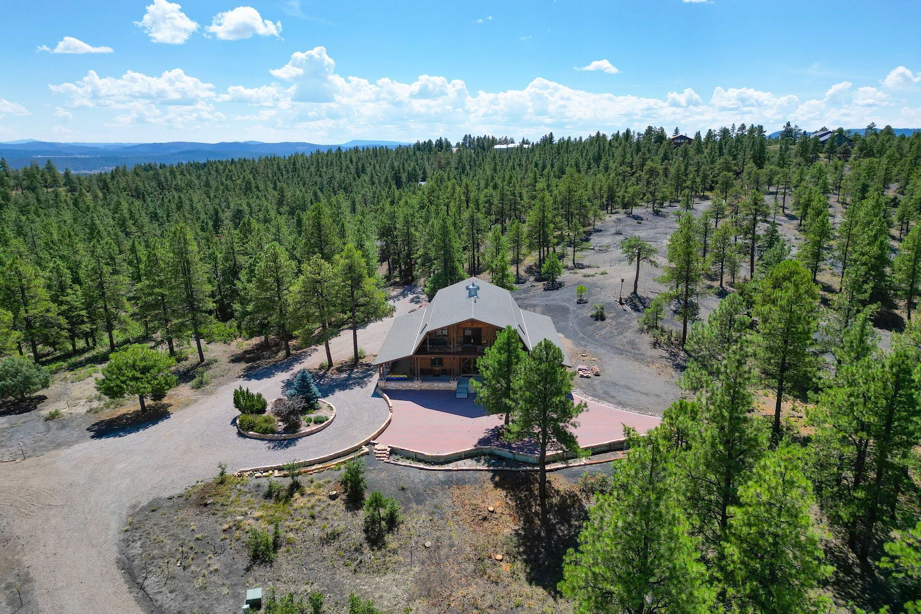  407 Corsair Ranch Place, Pagosa Springs, CO 81147 - 物件實景