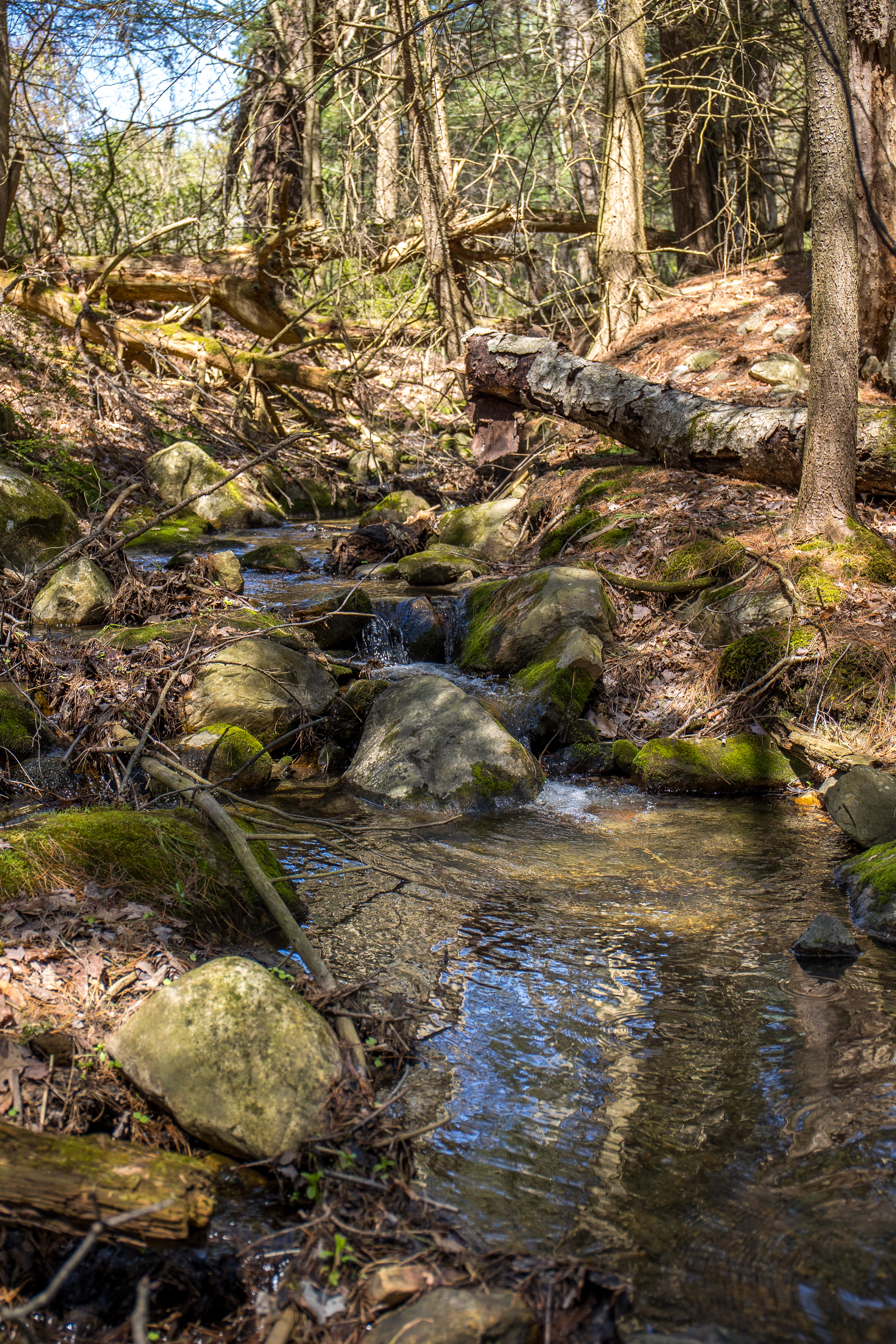  A Tranquil Berkshire Legacy: 22 Scenic Acres and a Landmark 3-Story Barn, Brookm - 物件實景