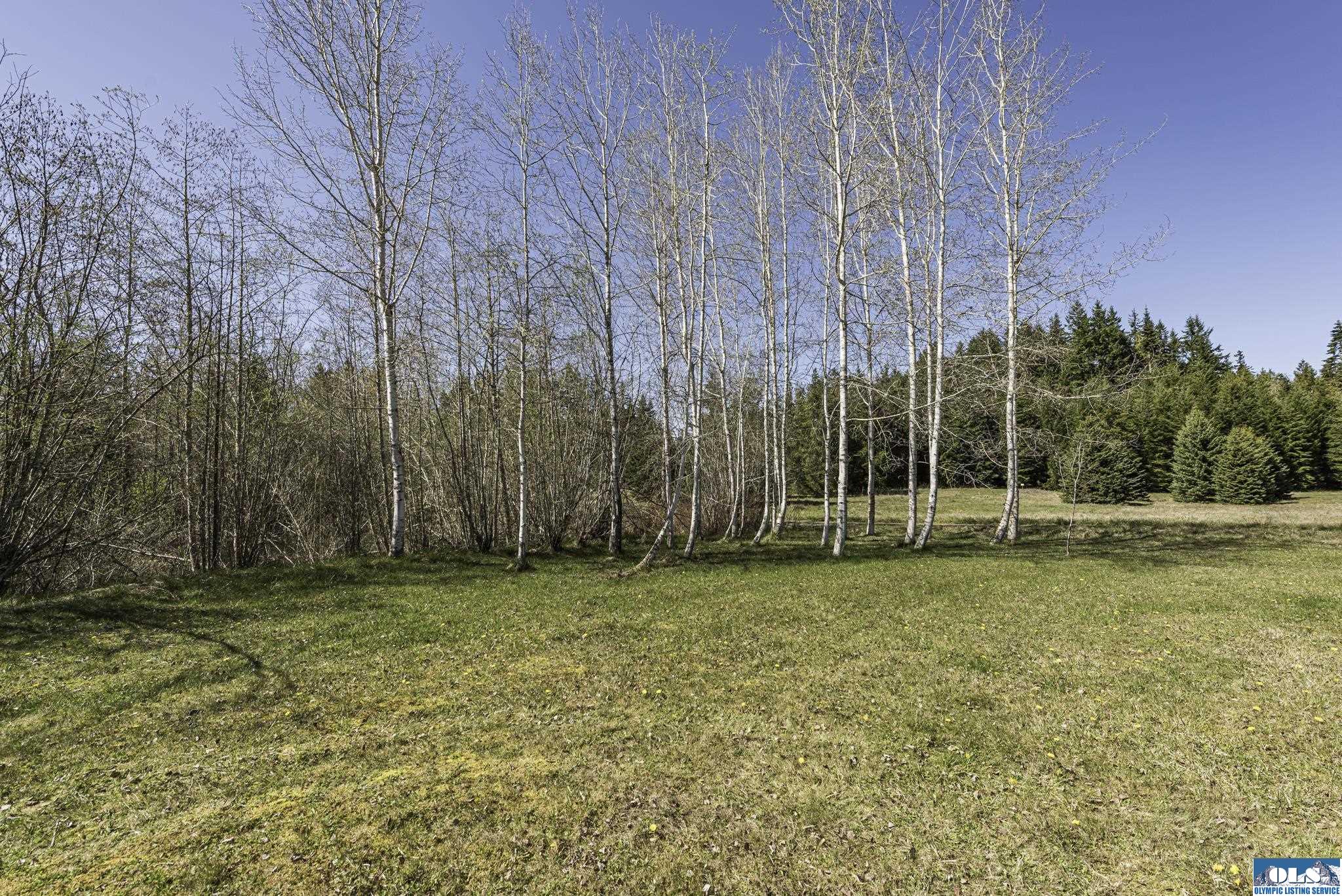 Sequim, Washington, 98382, United States, ,Land,For Sale,1787569