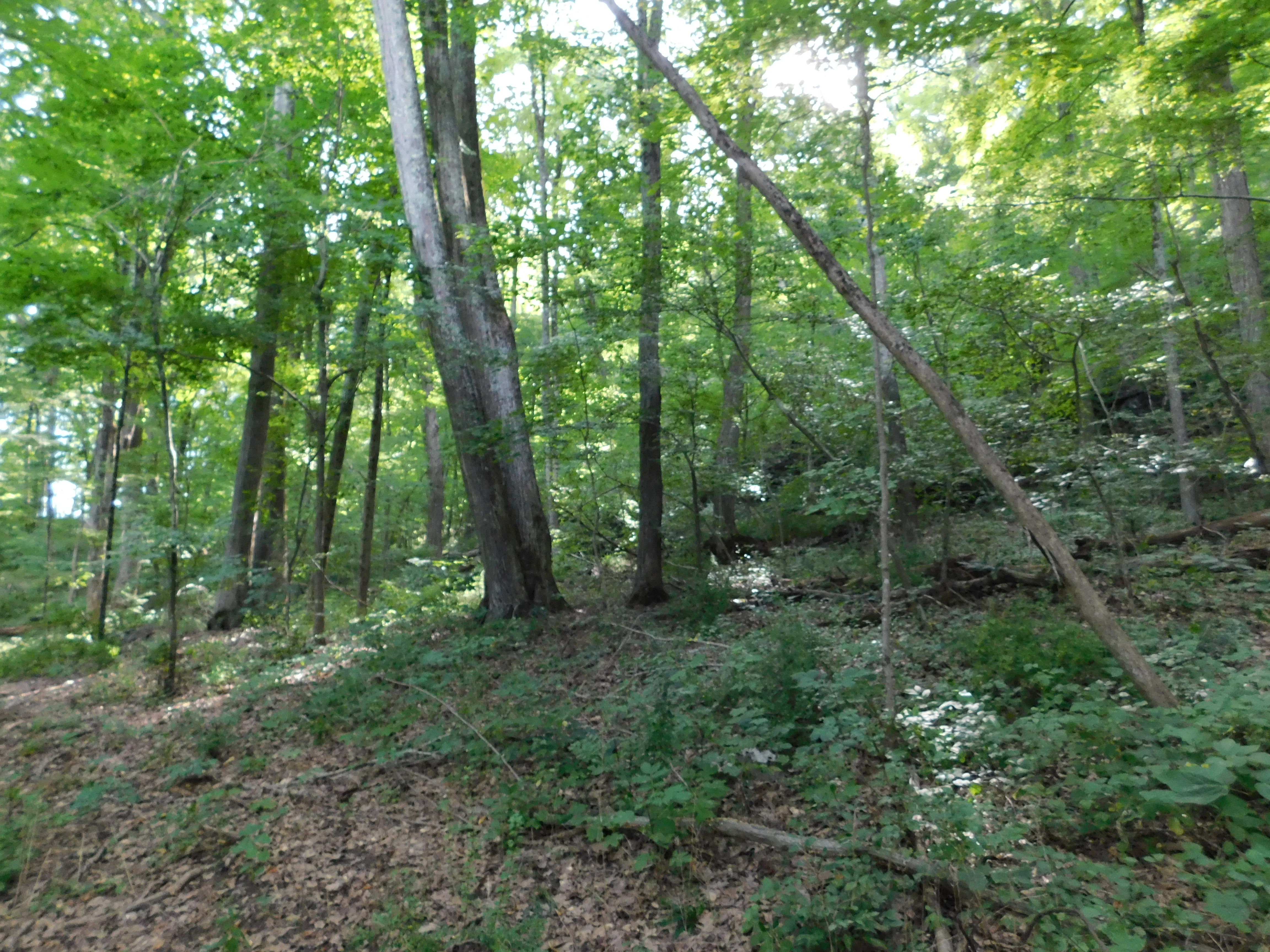  153 White Hollow Road - 物件實景