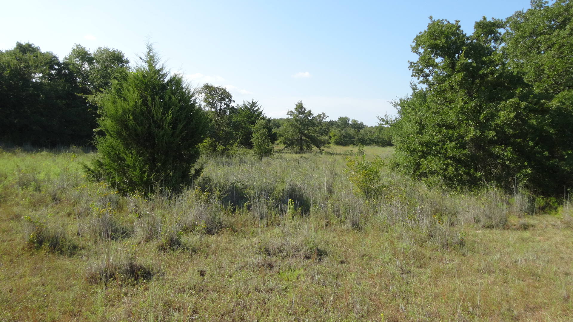 0 Highway 114, Boyd, Texas, 76023, United States, ,Residential,For Sale,0 Highway 114,1008641
