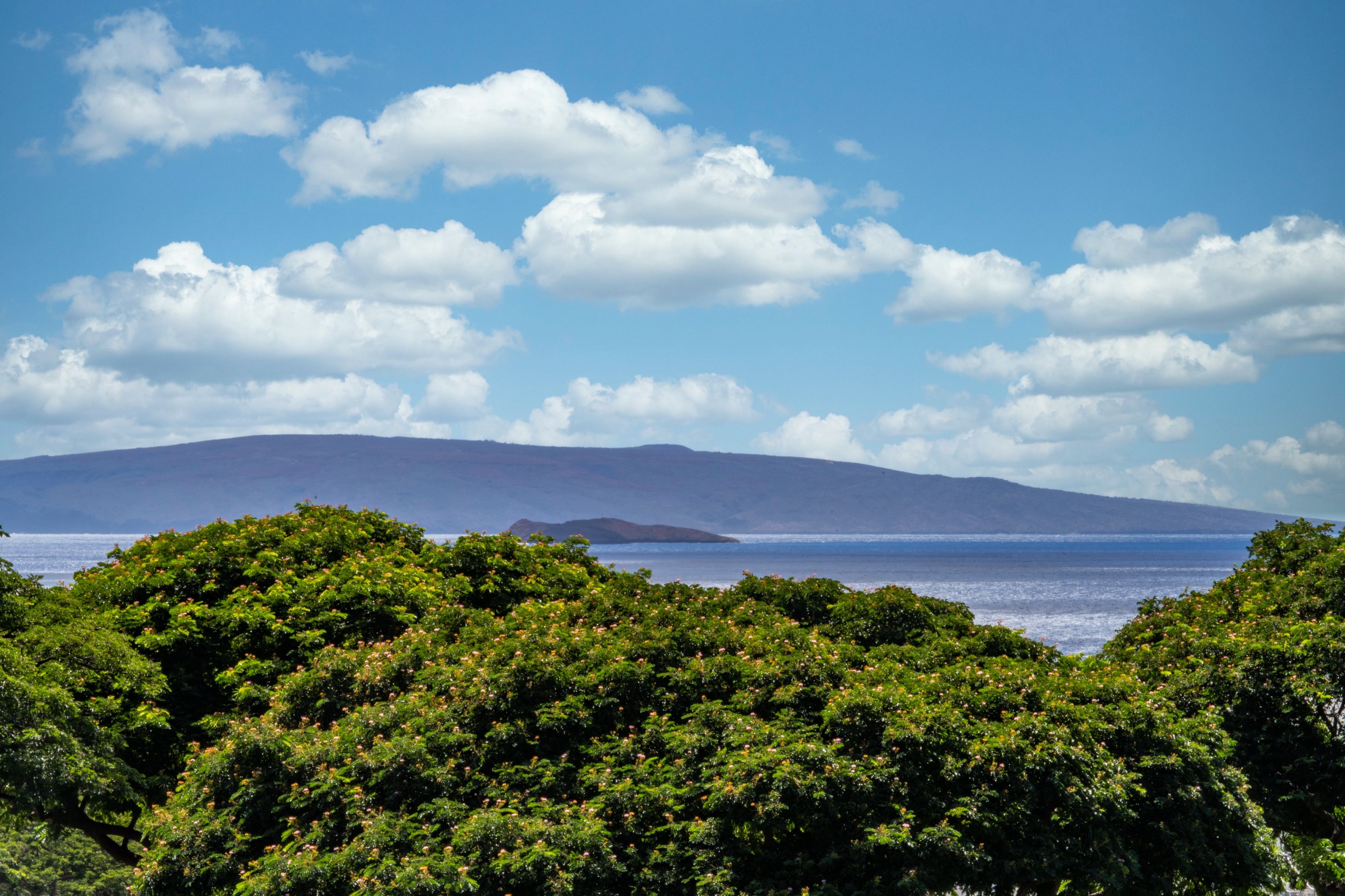  Oceanview, Zen, Modern, Tranquil, Peaceful, New Construction - 物件實景